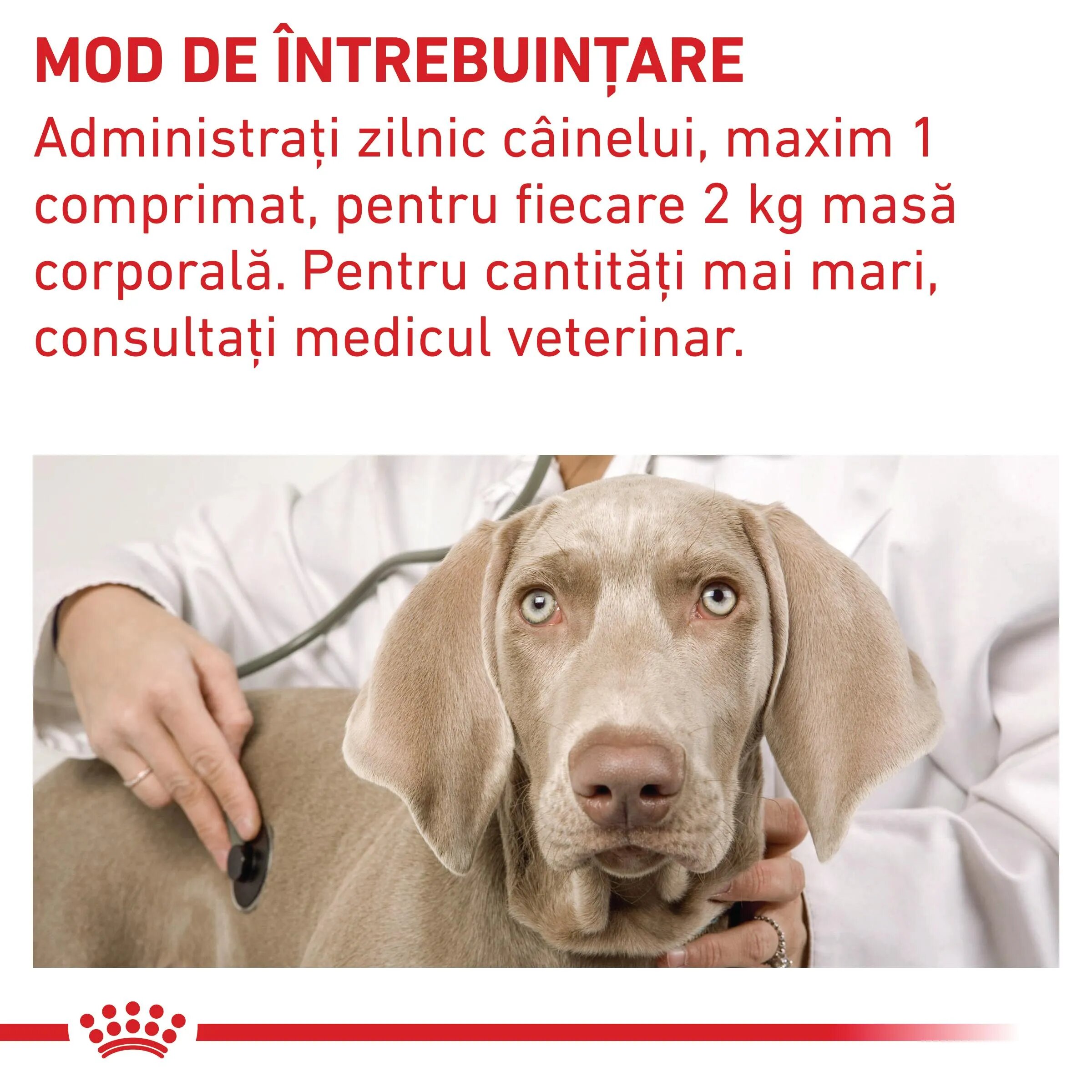 ROYAL CANIN VETERINARY DIET ROYAL CANIN VD Pill Assist Small Dog dietă veterinară câini 90g