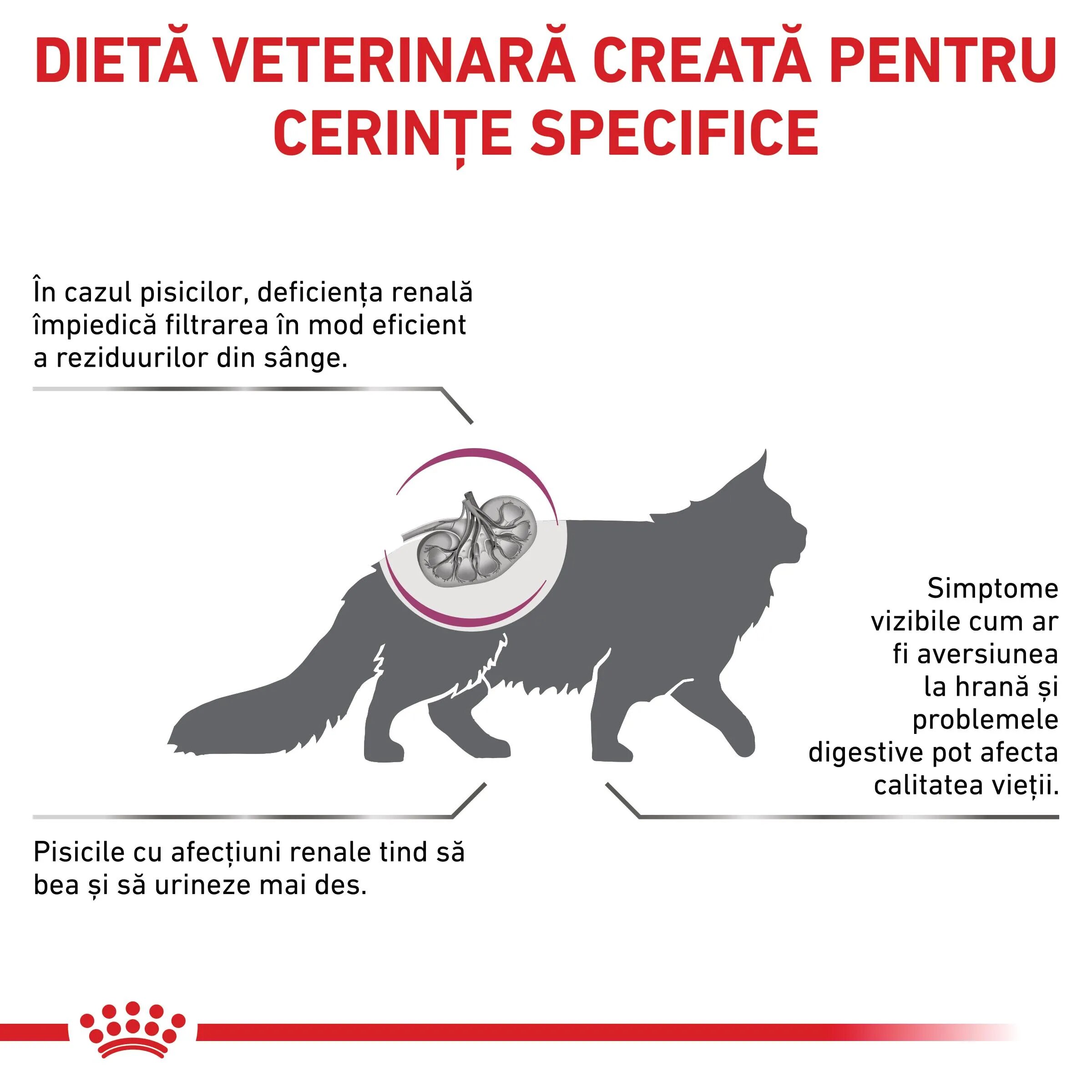 ROYAL CANIN VETERINARY DIET ROYAL CANIN VD Renal dietă veterinară hrană uscată pisici sistem renal 2kg