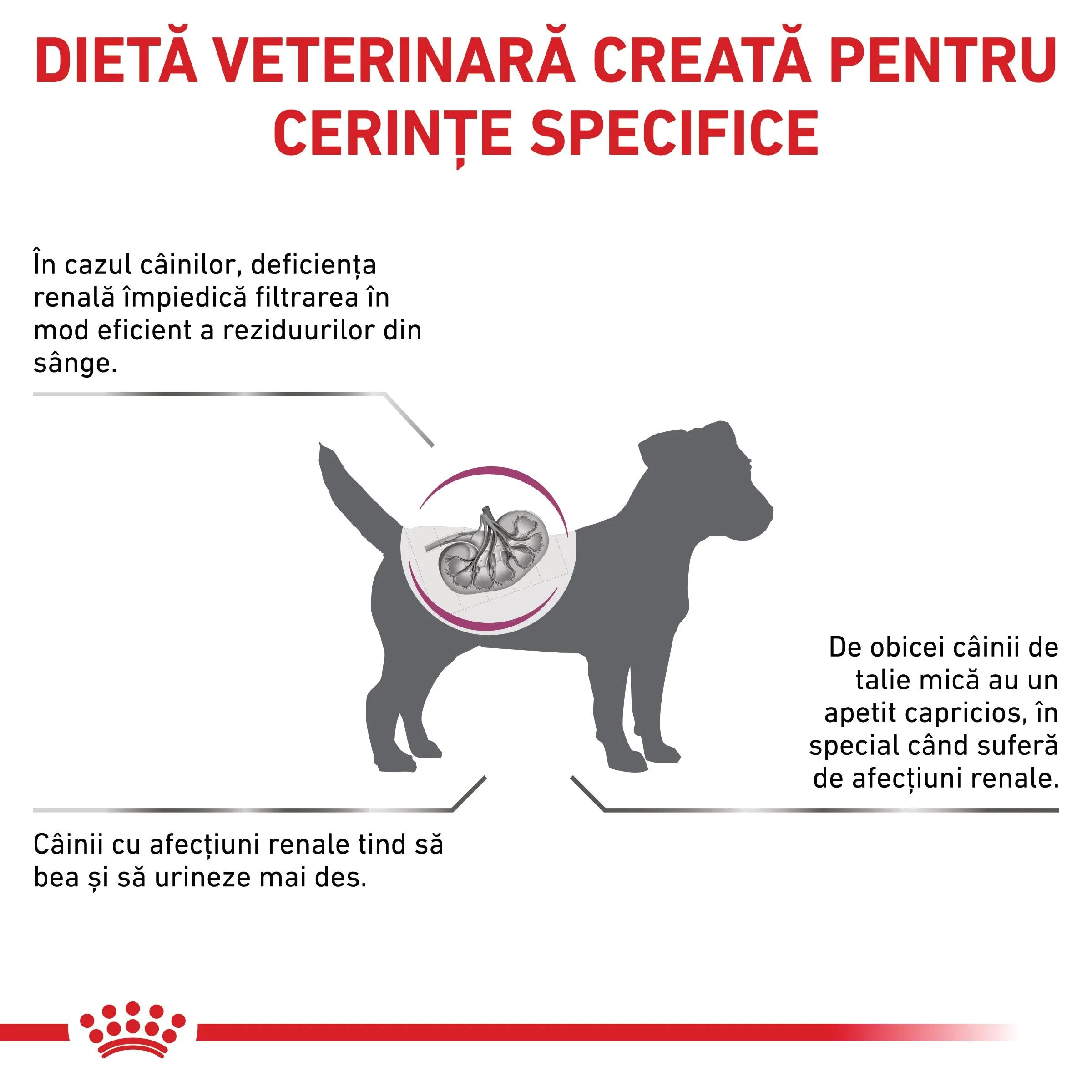 ROYAL CANIN VETERINARY DIET ROYAL CANIN VD Renal Small Dog XS-S dietă veterinară hrană uscată câini sistem renal 3.5kg