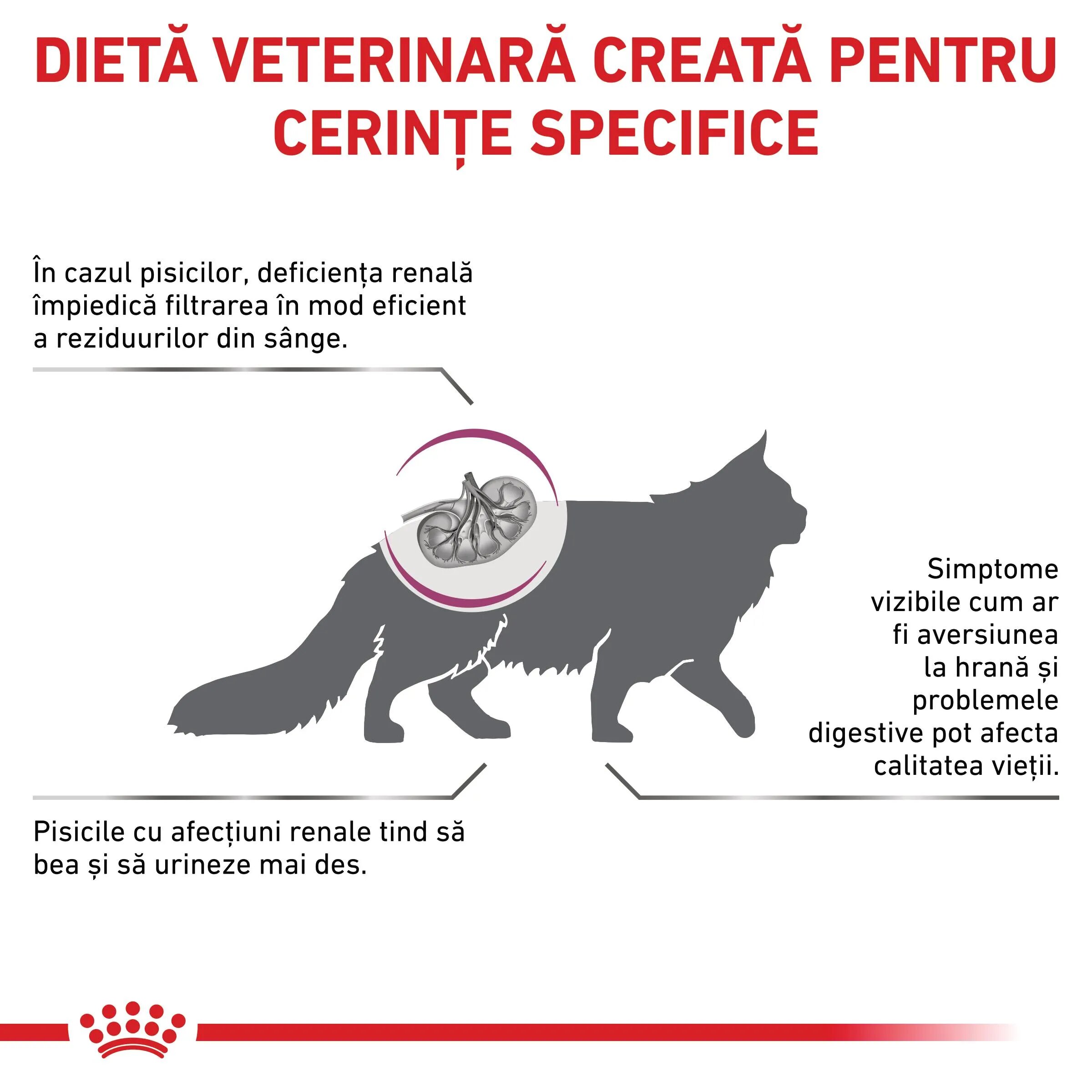 ROYAL CANIN VETERINARY DIET ROYAL CANIN VD Renal Special dietă veterinară hrană uscată pisici sistem renal 4kg