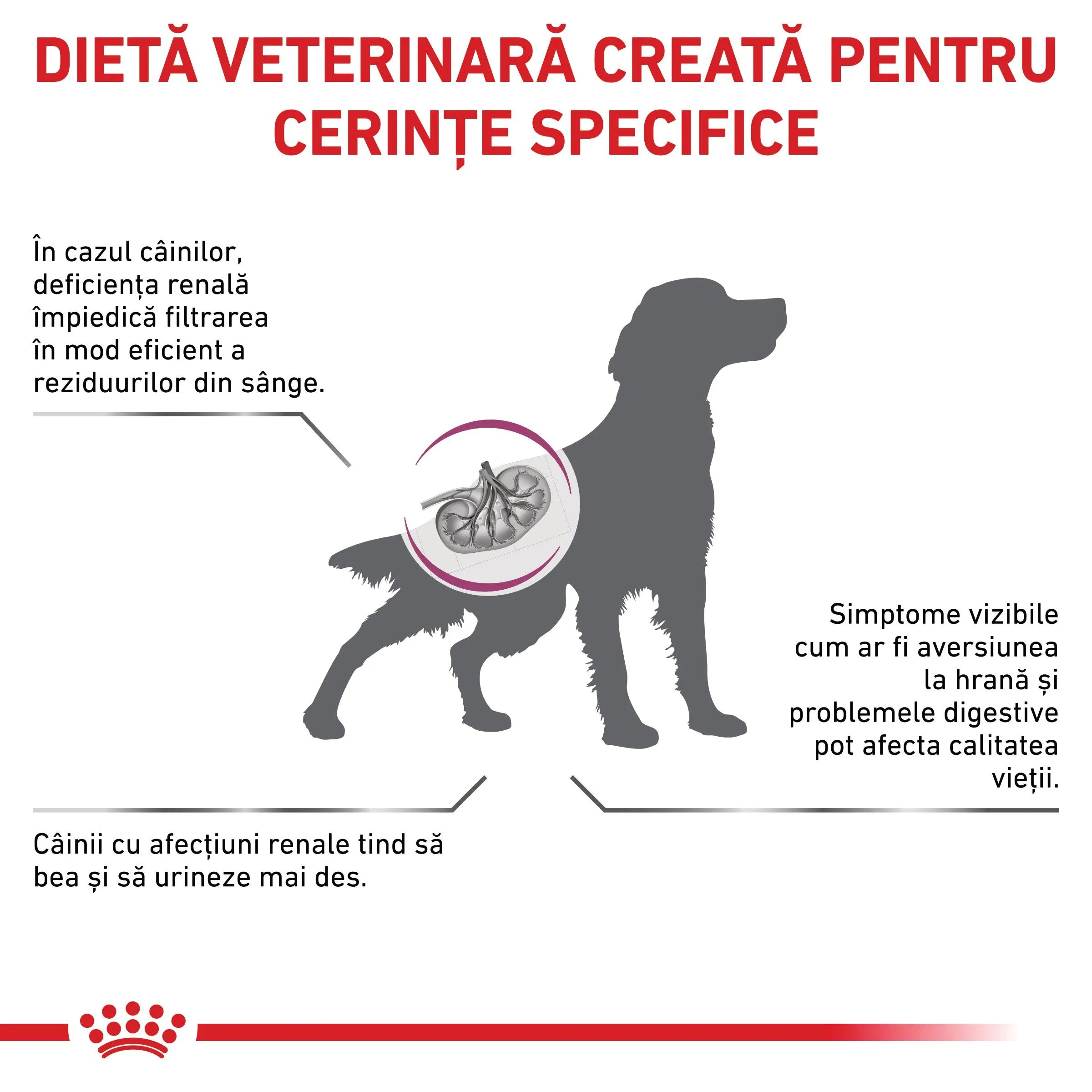 ROYAL CANIN VETERINARY DIET ROYAL CANIN VD Renal XS-XL dietă veterinară hrană uscată câini sistem renal 2kg