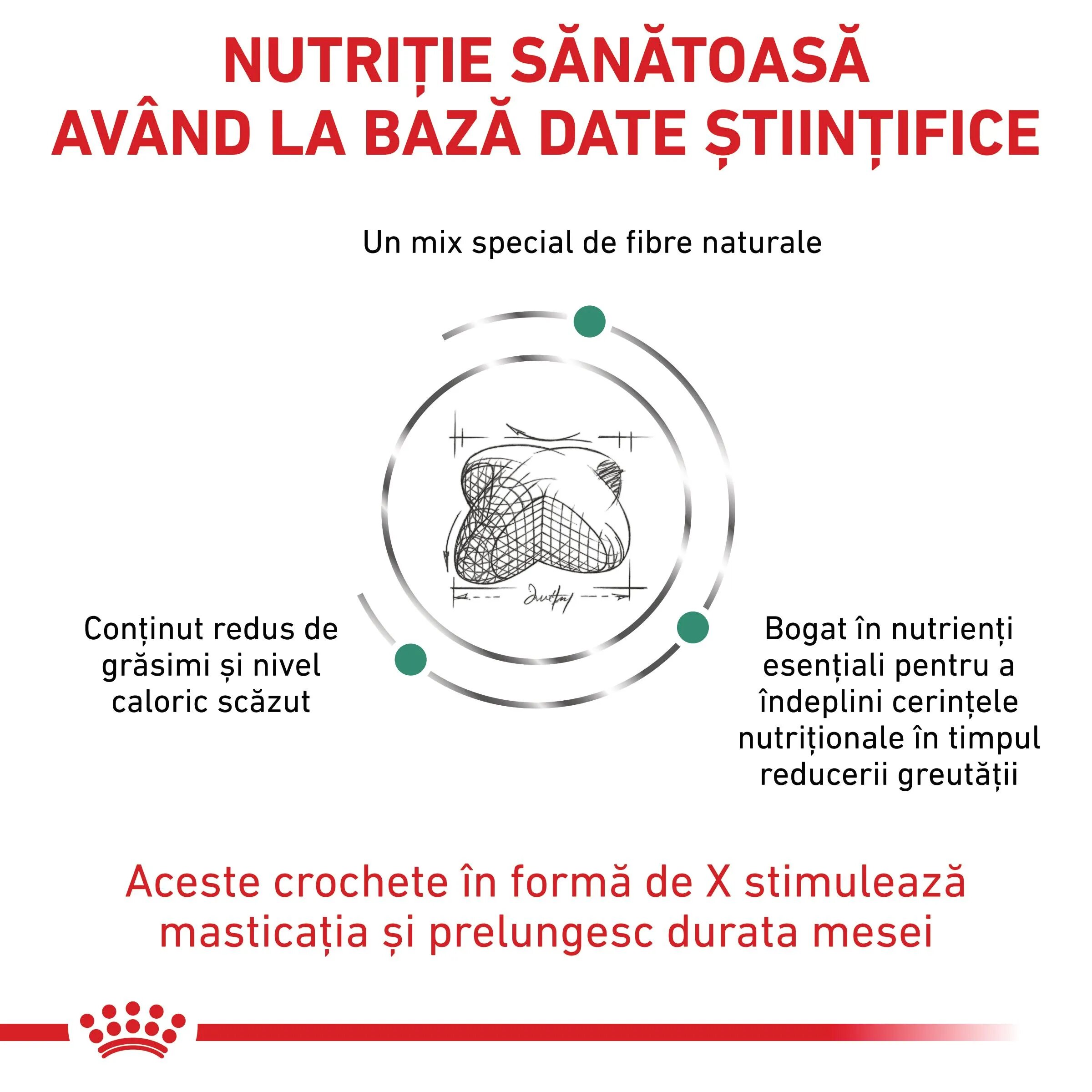 ROYAL CANIN VETERINARY DIET ROYAL CANIN VD Satiety XS-XL dietă veterinară conservă hrană umedă câini obezitate (pate) 410g