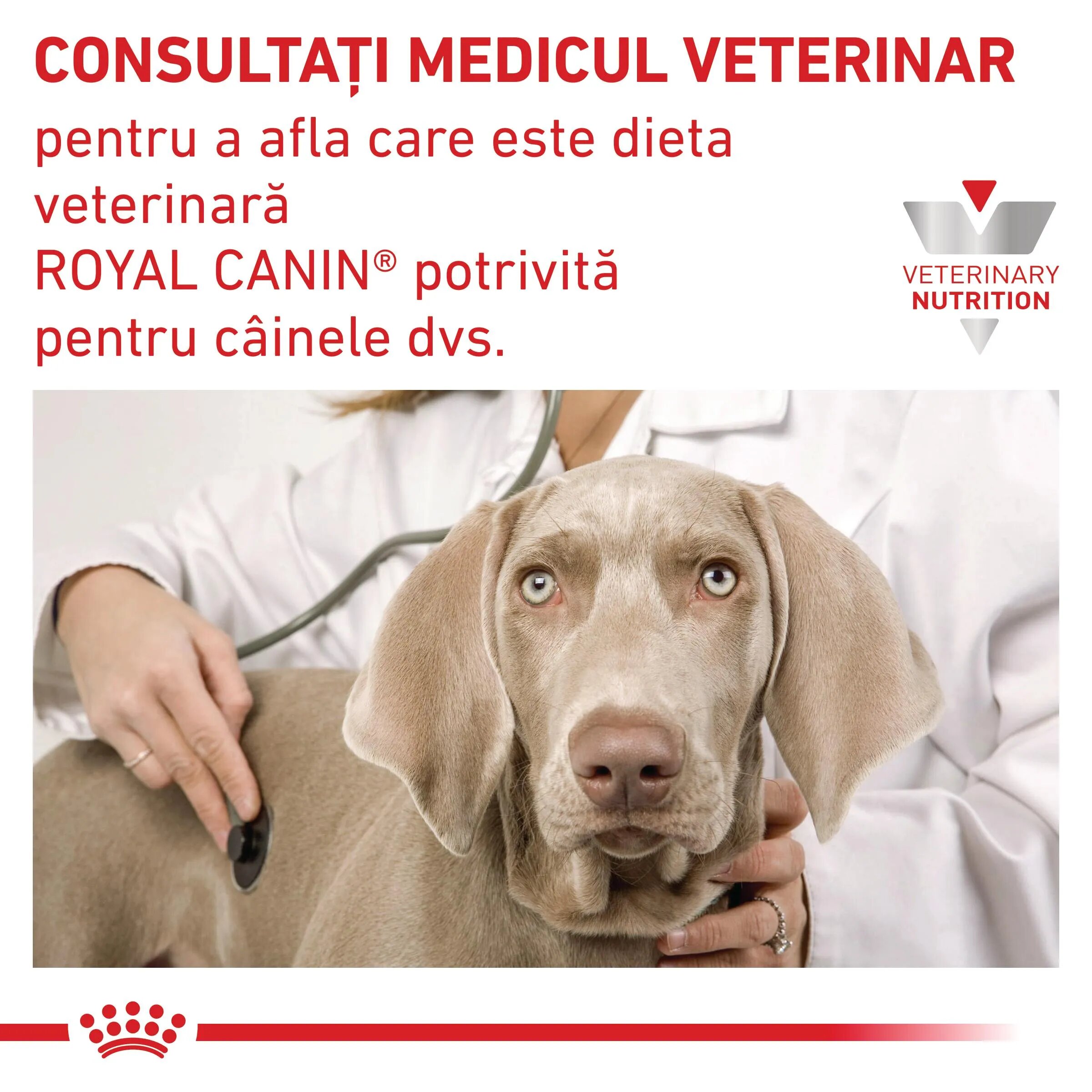 ROYAL CANIN VETERINARY DIET ROYAL CANIN VD Satiety XS-XL dietă veterinară conservă hrană umedă câini obezitate (pate) 410g