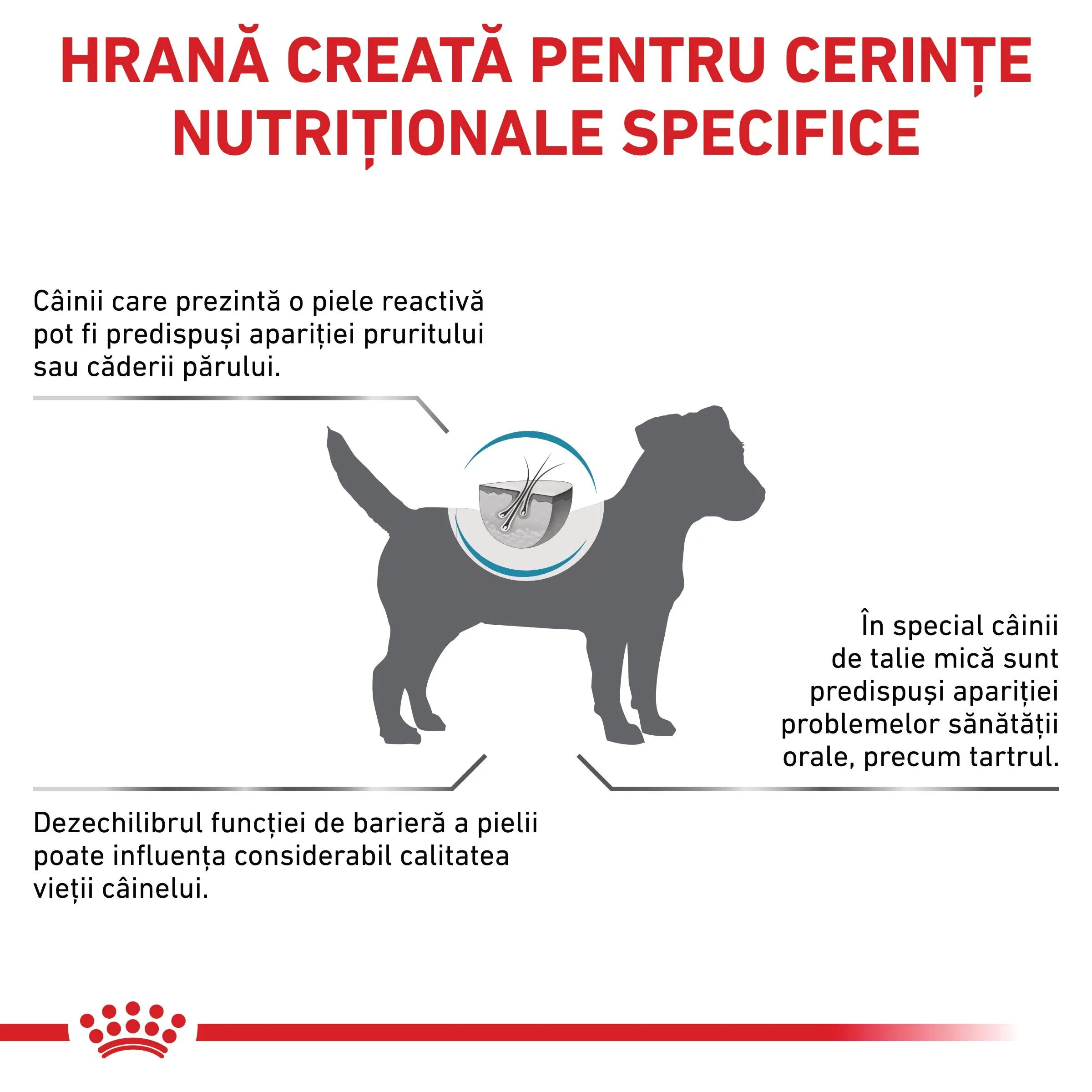 ROYAL CANIN VETERINARY DIET ROYAL CANIN VD Skin Care Small Dog XS-XL dietă veterinară hrană uscată câini afecțiuni dermatologice 4kg