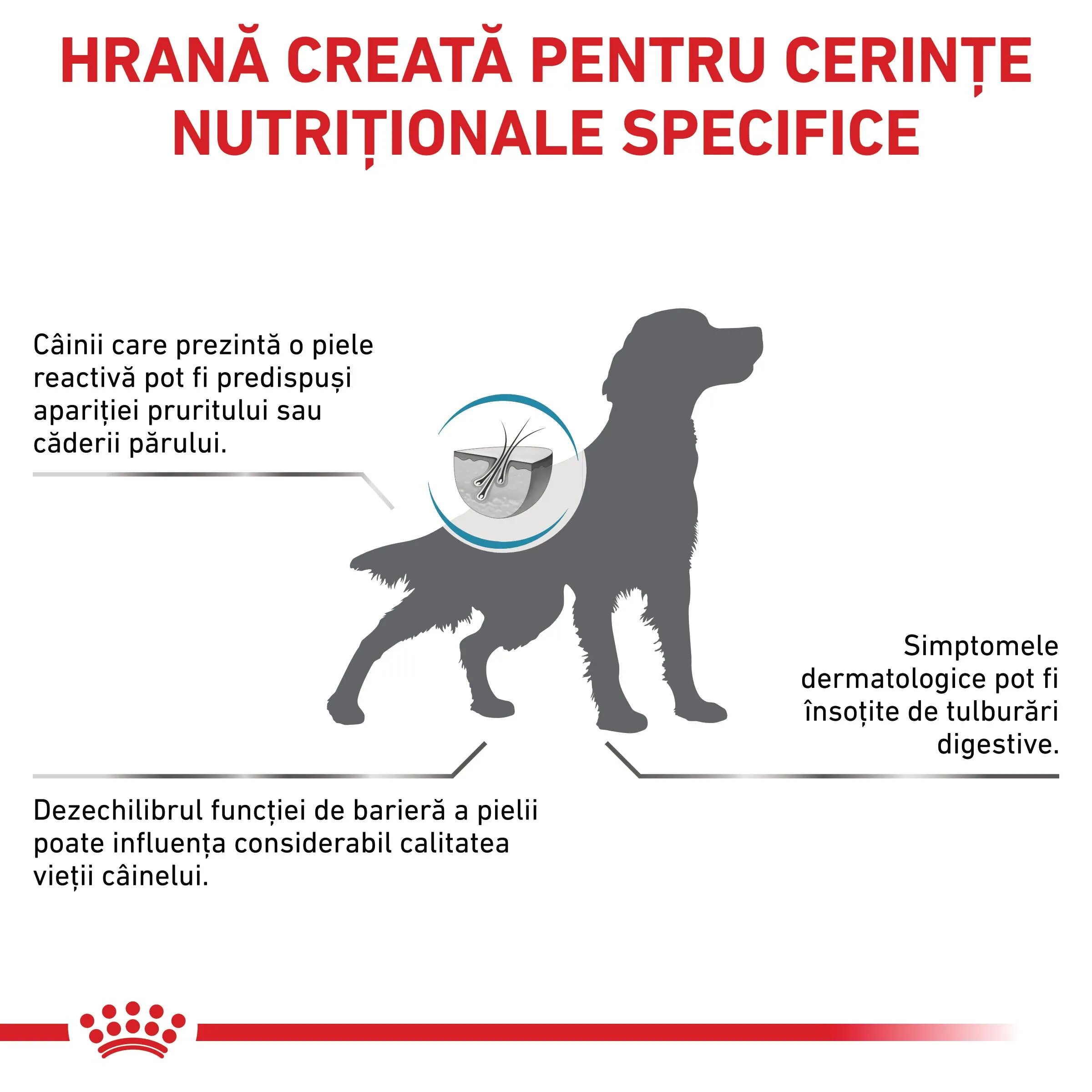ROYAL CANIN VETERINARY DIET ROYAL CANIN VD Skin Care XS-XL dietă veterinară hrană uscată câini afecțiuni dermatologice 11kg
