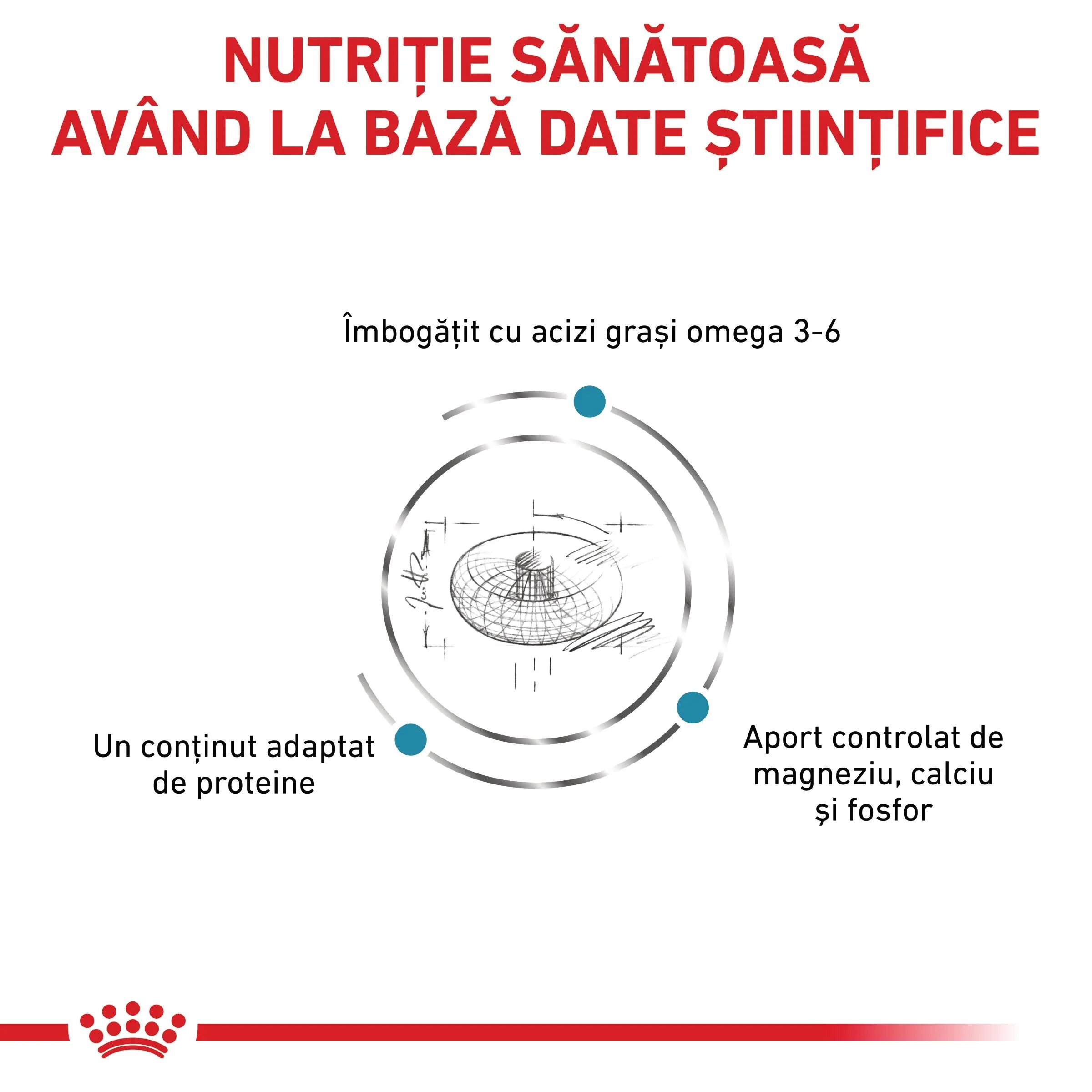 ROYAL CANIN VETERINARY DIET ROYAL CANIN VD Skin&Coat dietă veterinară hrană uscată pisici afecțiuni dermatologice 1.5kg