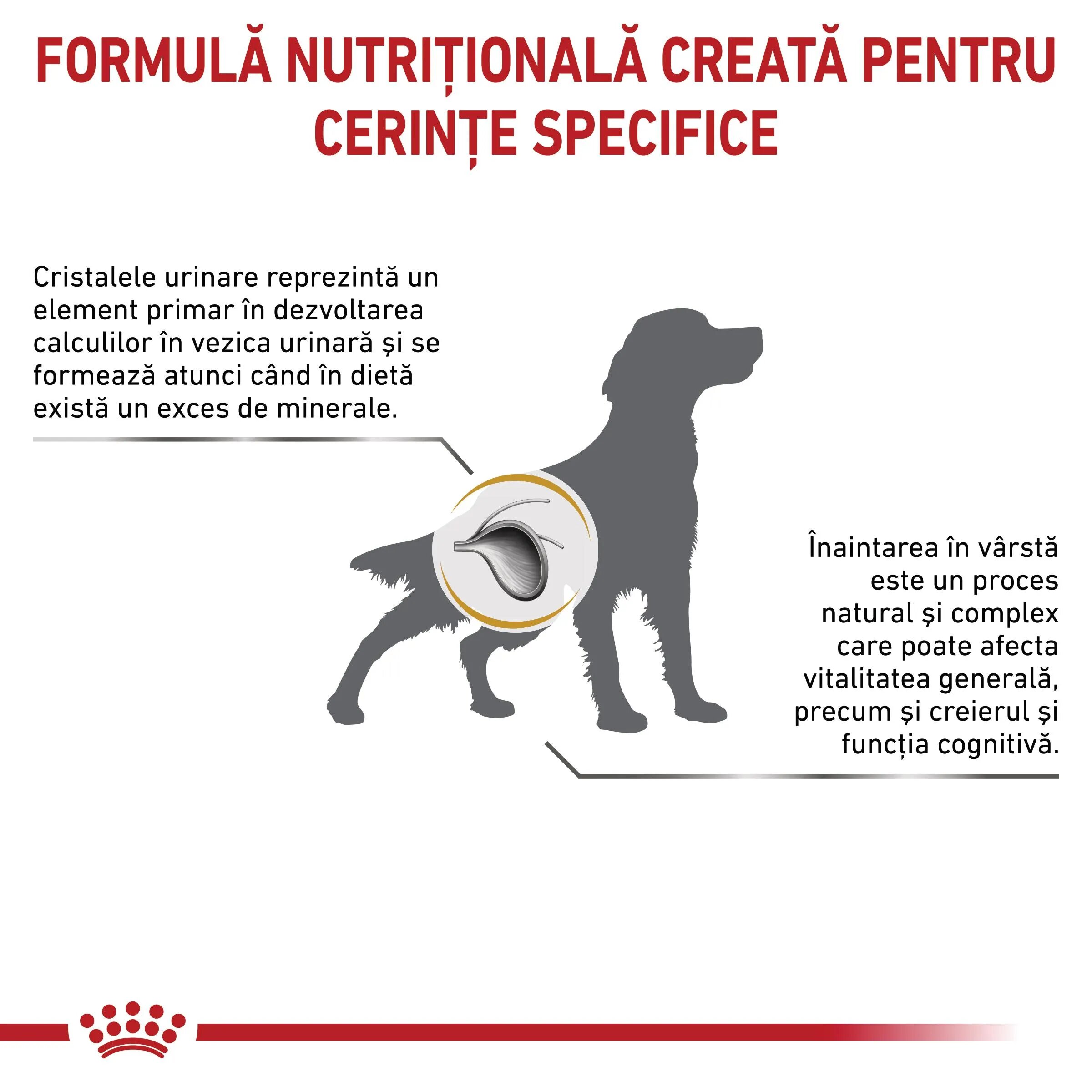 ROYAL CANIN VETERINARY DIET ROYAL CANIN VD Urinary S/O Ageing 7+ S-XL dietă veterinară hrană uscată câini senior sistem urinar 8kg