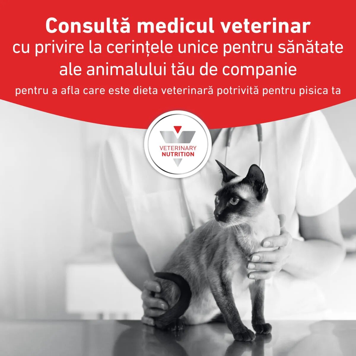 ROYAL CANIN VETERINARY DIET ROYAL CANIN VD Urinary S/O dietă veterinară hrană uscată pisici sistem urinar 400g