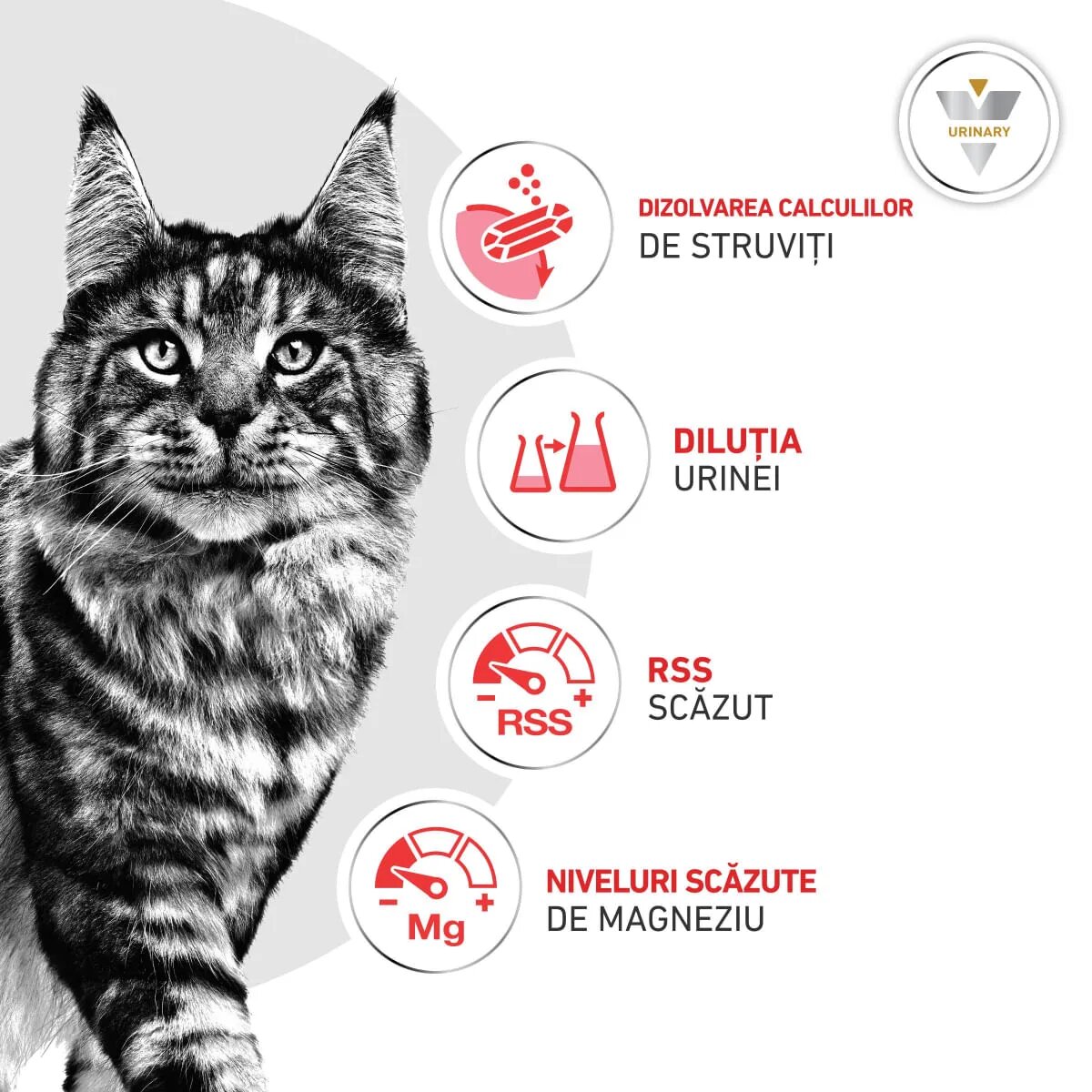 ROYAL CANIN VETERINARY DIET ROYAL CANIN VD Urinary S/O dietă veterinară hrană uscată pisici sistem urinar 400g