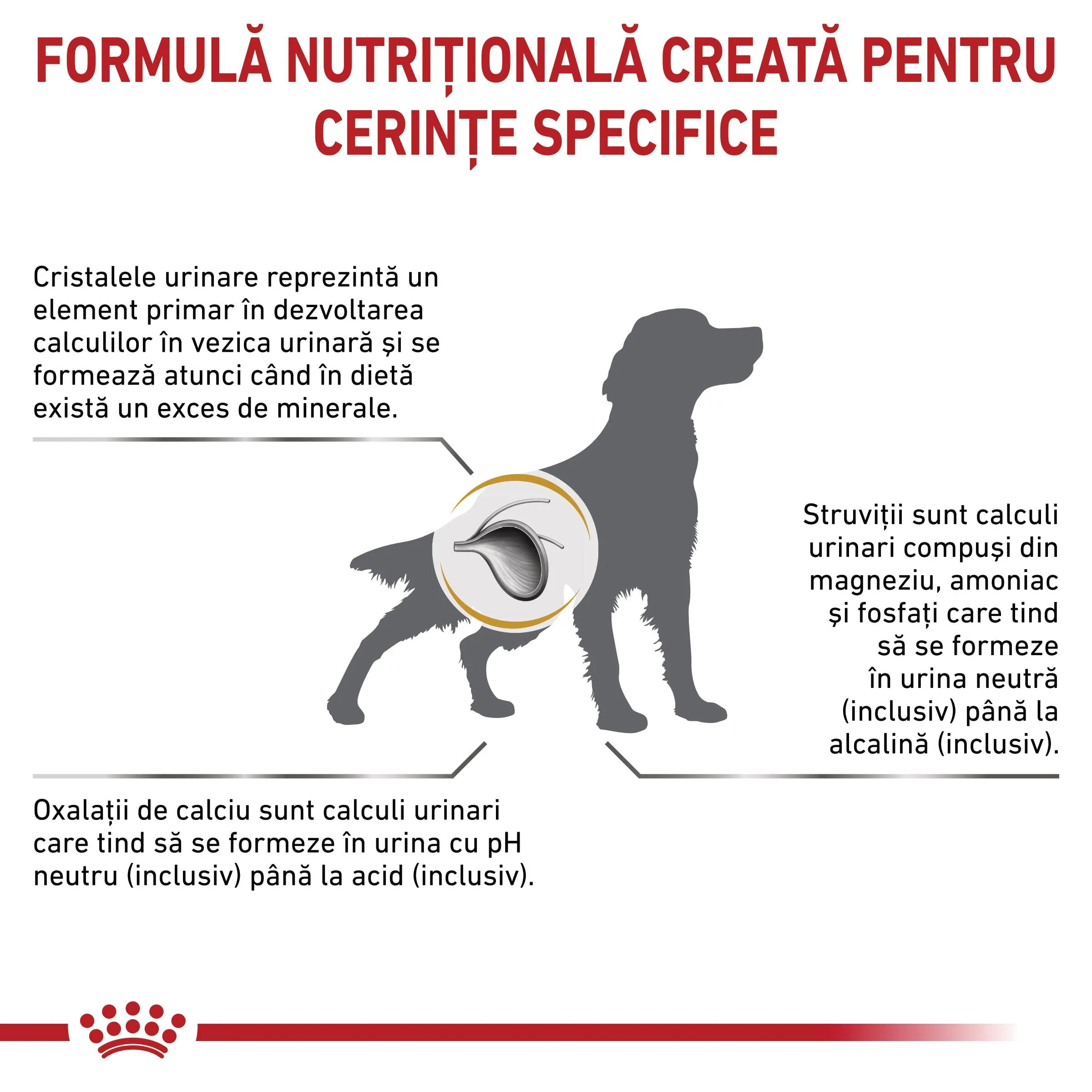 ROYAL CANIN VETERINARY DIET ROYAL CANIN VD Urinary S/O M-XL dietă veterinară hrană uscată câini sistem urinar 7.5kg
