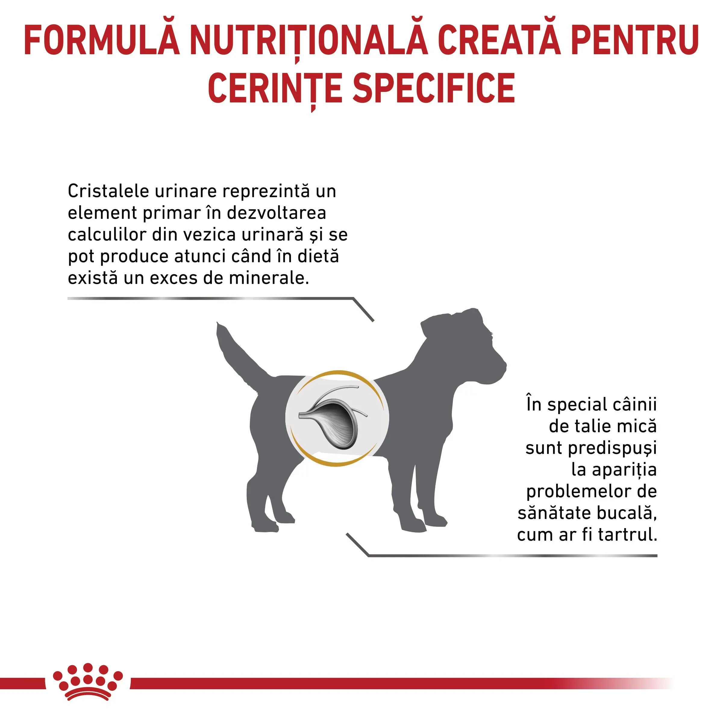 ROYAL CANIN VETERINARY DIET ROYAL CANIN VD Urinary S/O Small Dog XS-S dietă veterinară hrană uscată câini sistem urinar 8kg