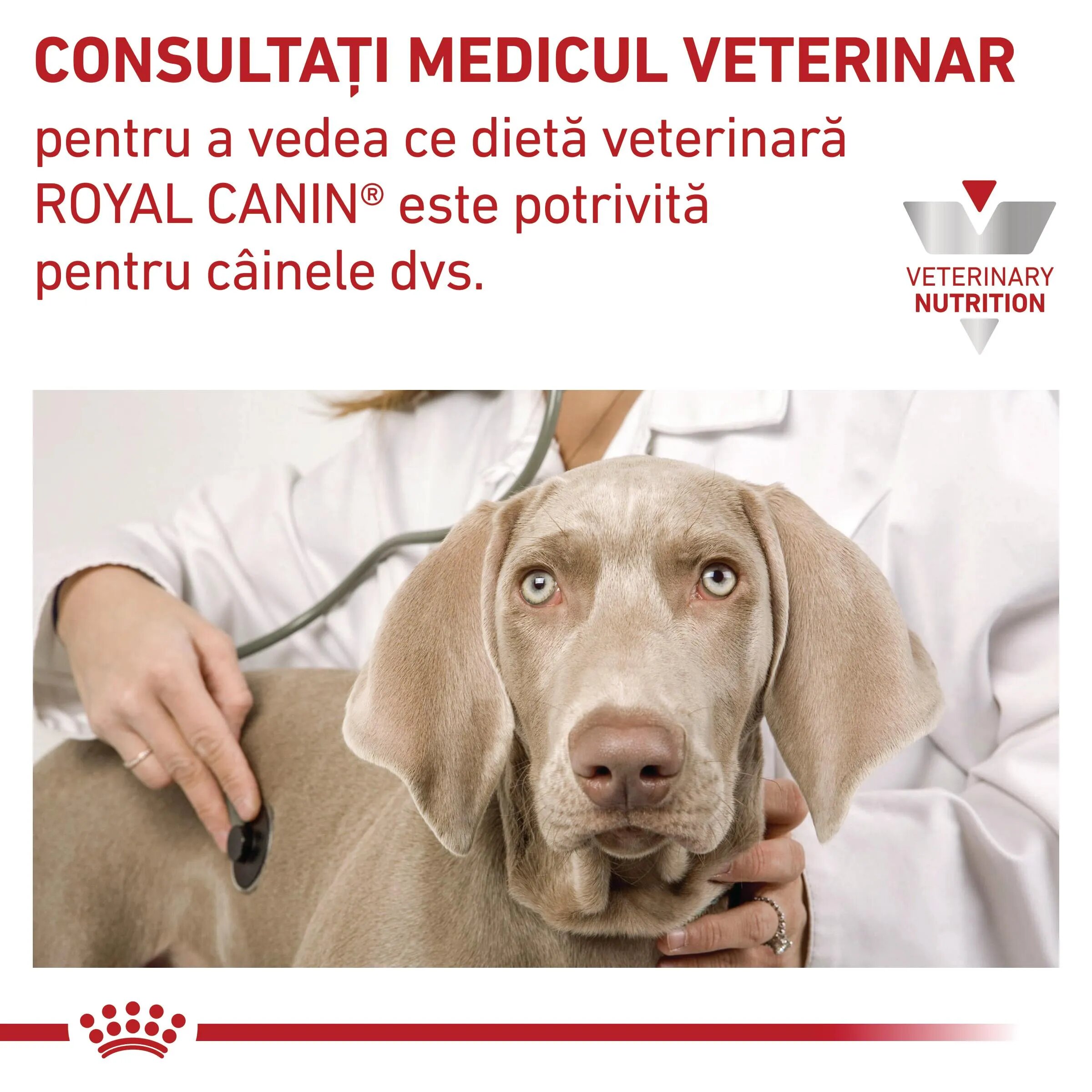 ROYAL CANIN VETERINARY DIET ROYAL CANIN VD Urinary S/O XS-XL dietă veterinară conservă hrană umedă câini sistem urinar (pate) 200g