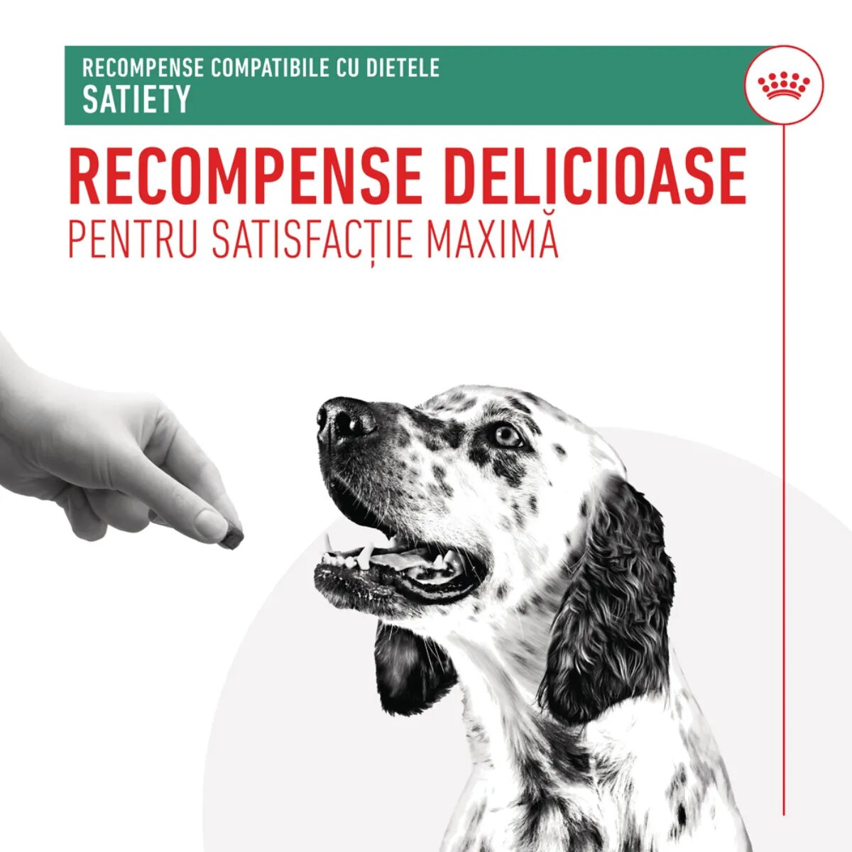 ROYAL CANIN VETERINARY DIET Satiety Treats punguță recompense funcționale câini obezitate 230g