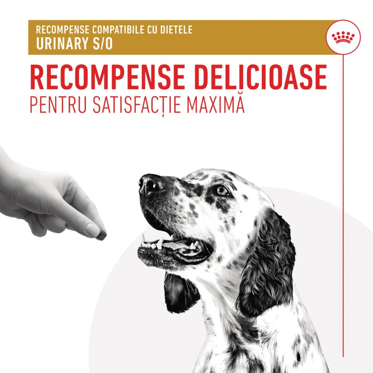 ROYAL CANIN VETERINARY DIET Urinary S/O Treats punguță recompense funcționale câini sistem urinar 230g