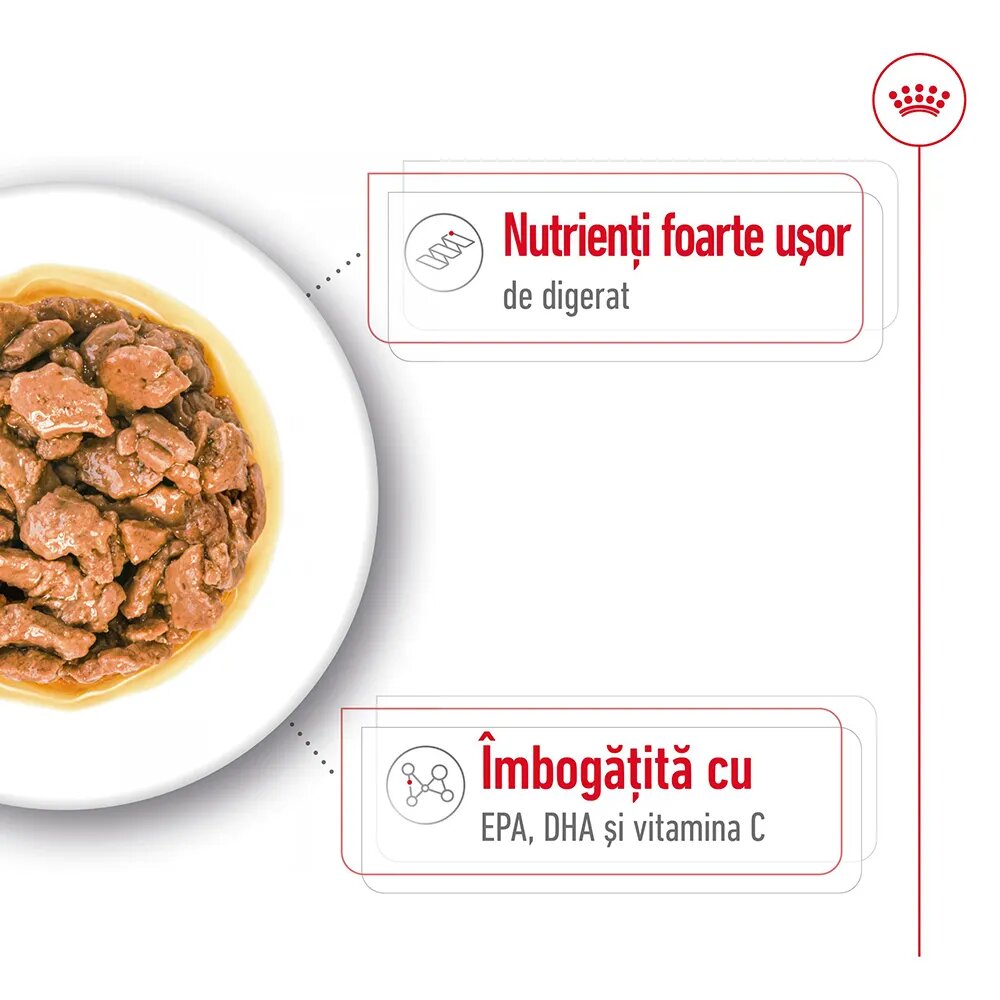 Royal Canin X-Small Adult hrană umedă câini (în sos) 85g