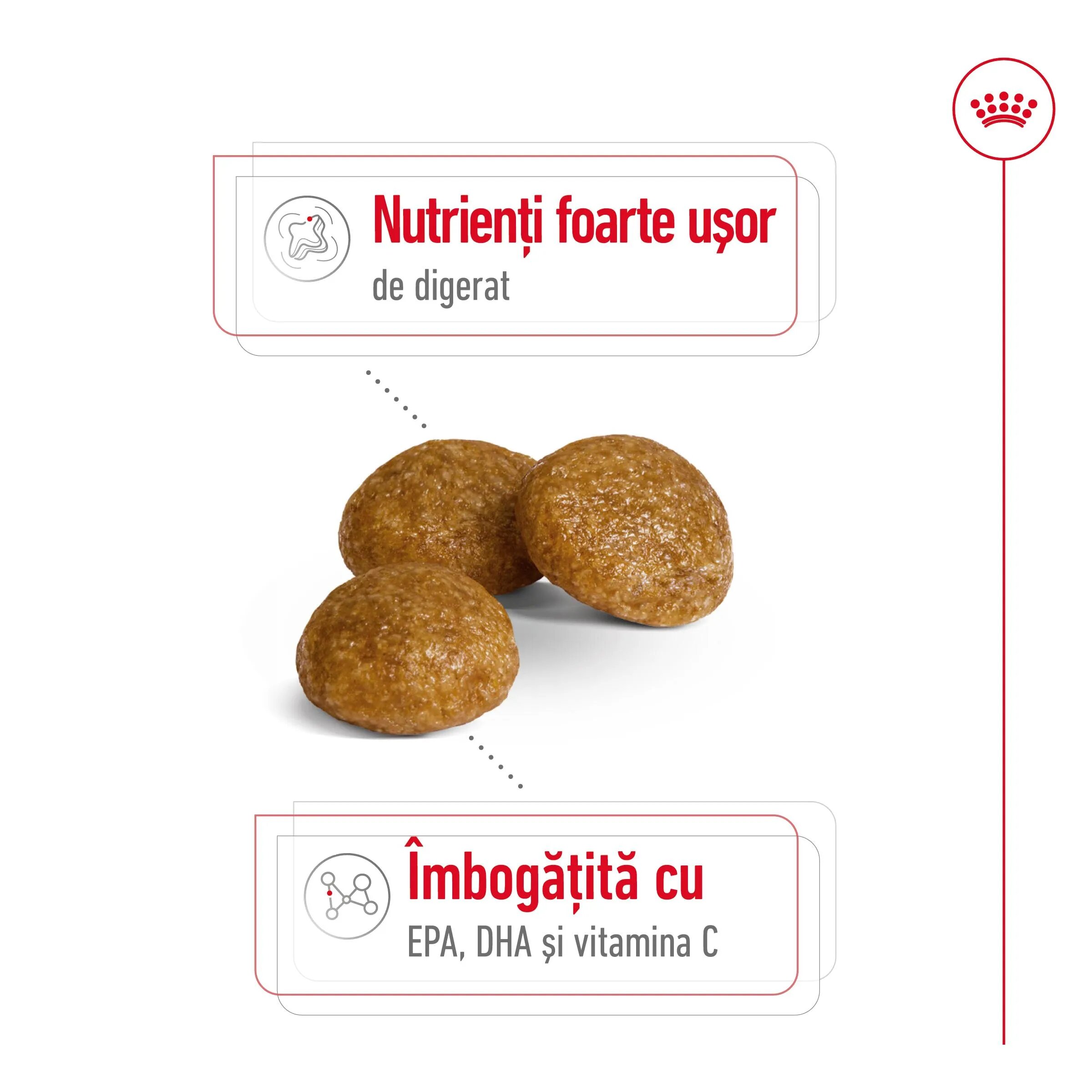 Royal Canin X-Small Adult hrană uscată câini 500g