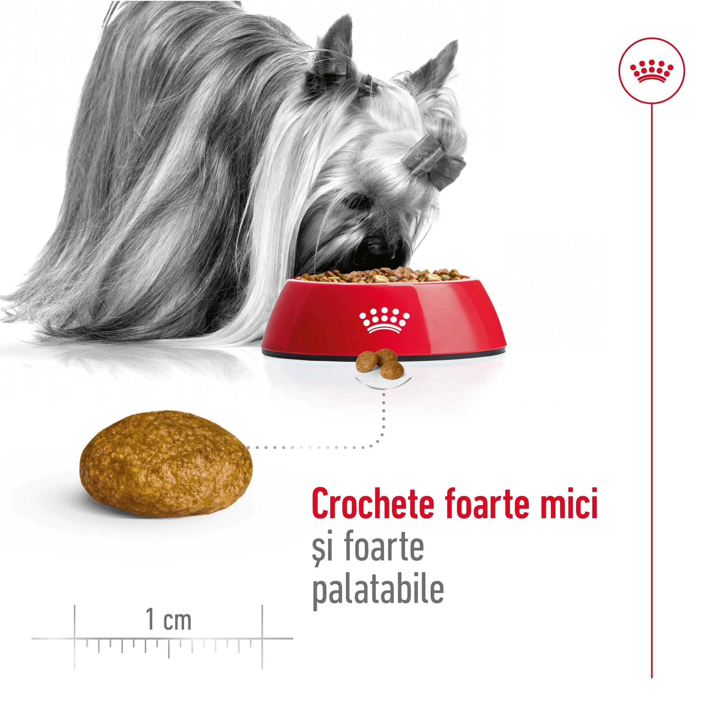 Royal Canin X-Small Adult hrană uscată câini 500g