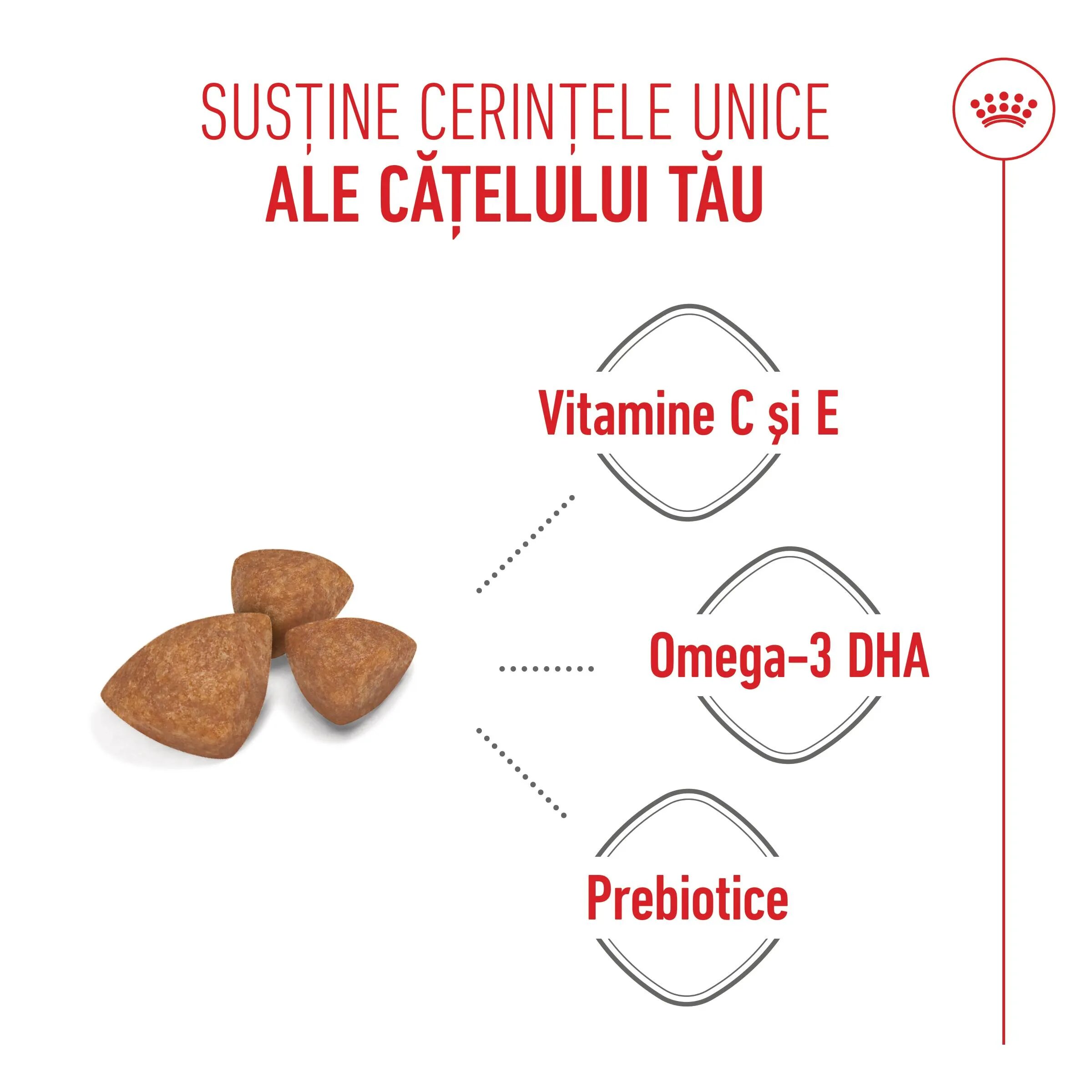 Royal Canin X-Small Puppy hrană uscată câini junior 500g