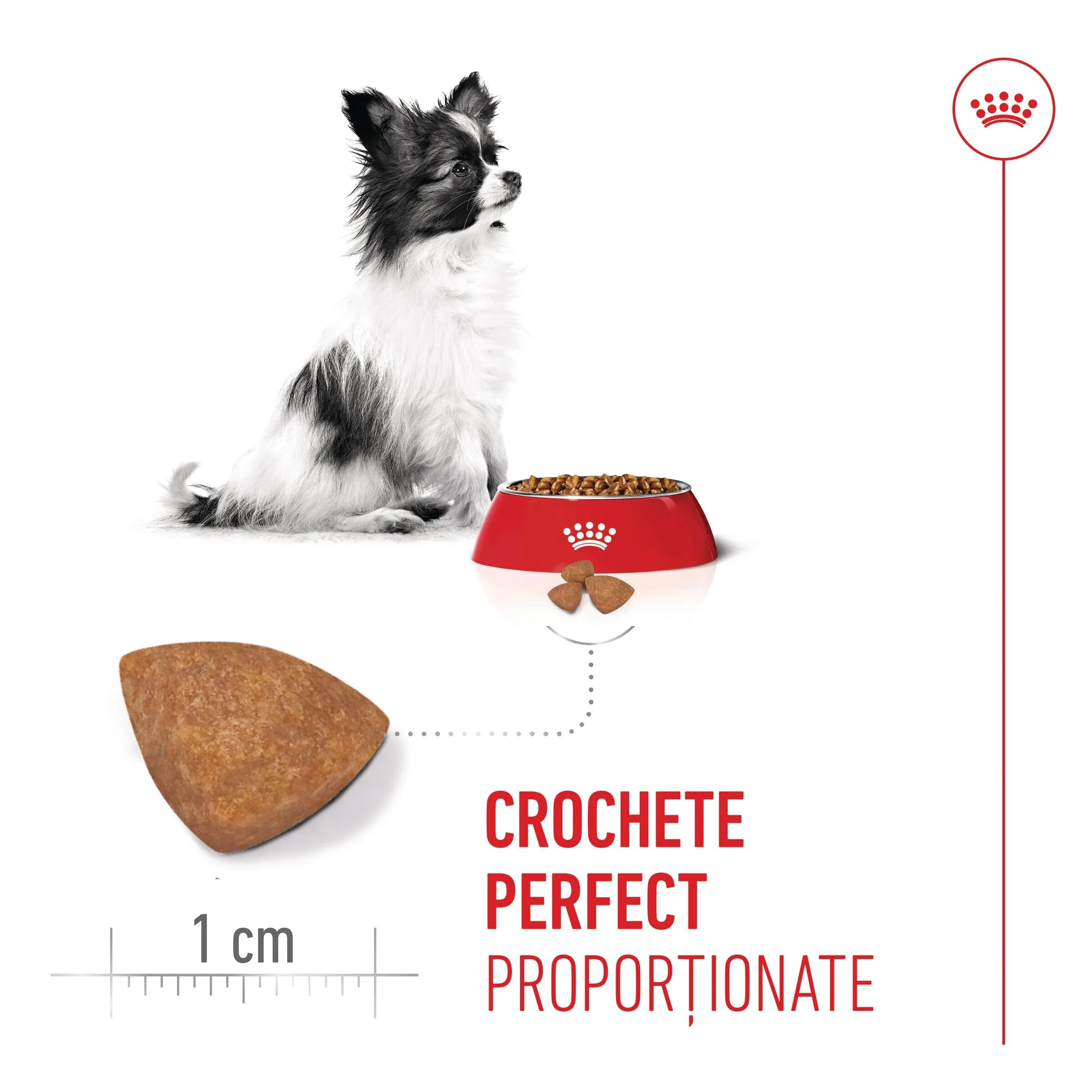 Royal Canin X-Small Puppy hrană uscată câini junior 500g