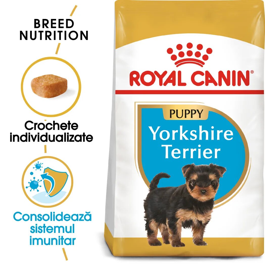 Royal Canin Yorkshire Puppy hrană uscată câini junior 500g