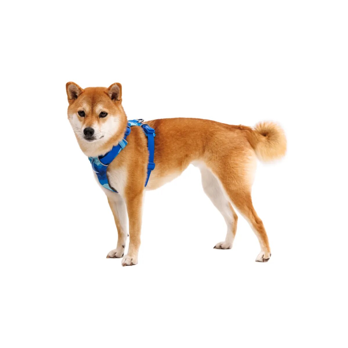 RUFFWEAR Front Rage ham prindere dublă(piept&spate) dresaj câini ajustabil reflectorizant Front Rage Coastal Mountains ham prindere dublă(piept&spate) dresaj câini ajustabil reflectorizant albastru L-XL(81-107cm)