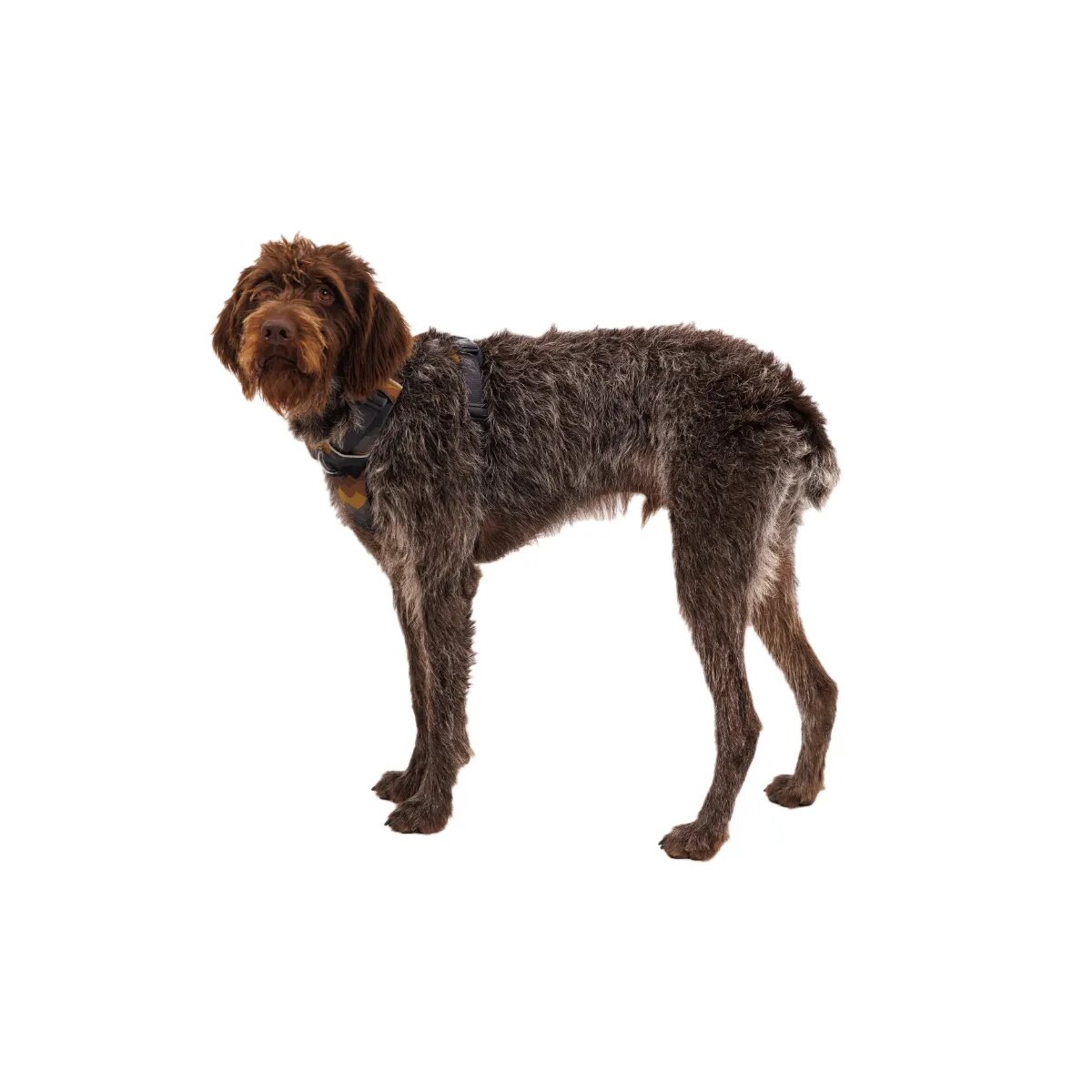 RUFFWEAR Front Rage ham prindere dublă(piept&spate) dresaj câini ajustabil reflectorizant Front Rage Moonlight Mountains ham prindere dublă(piept&spate) dresaj câini ajustabil reflectorizant maro și gri L-XL(81-107cm)