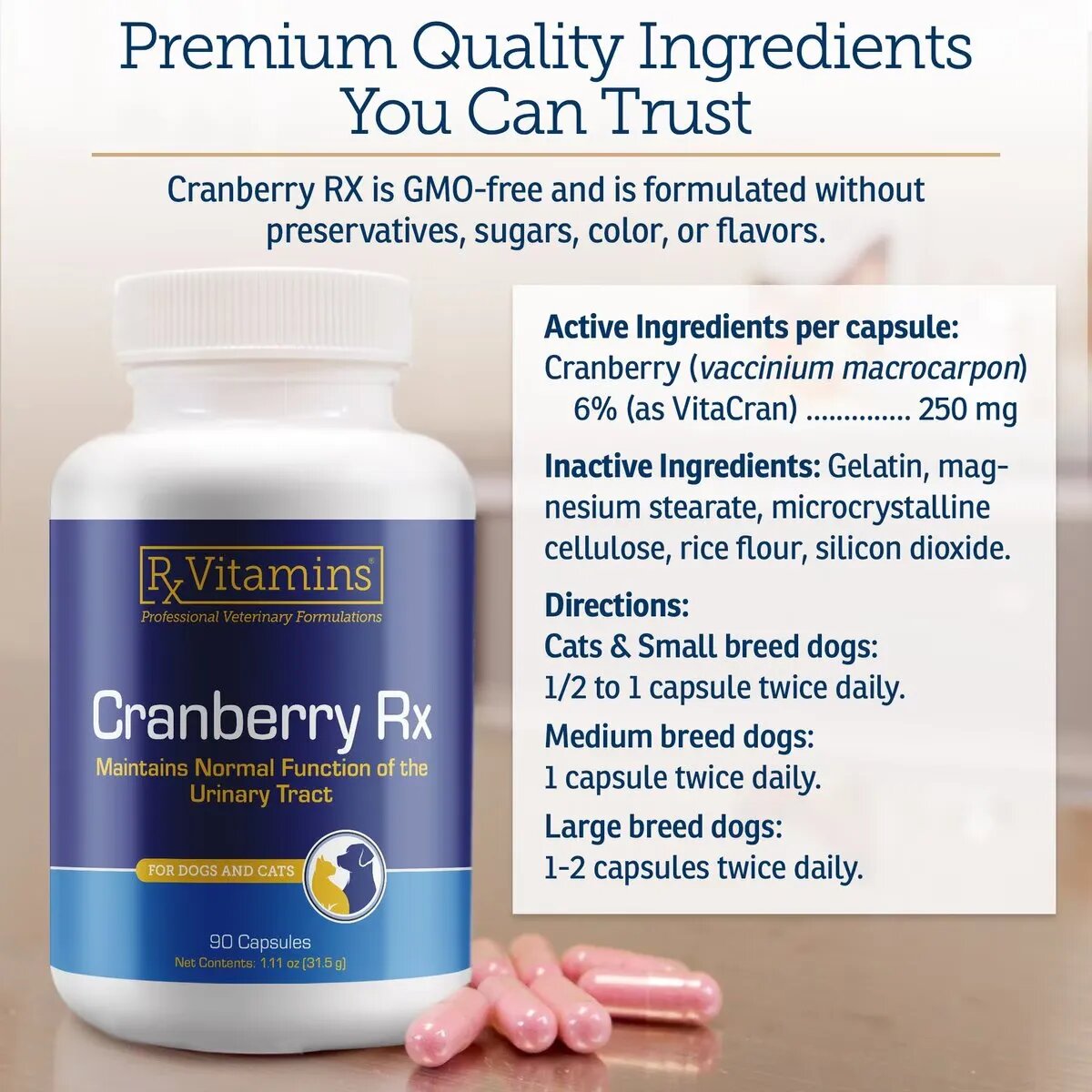 Rx Vitamins Cranberry supliment sistem urinar câini capsule Cranberry supliment sistem urinar câini și pisici flacon 90 capsule
