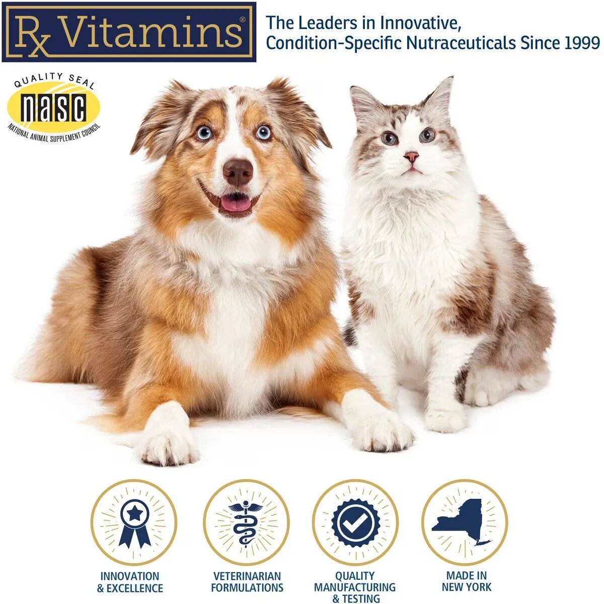 Rx Vitamins Immuno Support supliment sistem imunitar câini capsule Immuno Support supliment sistem imunitar câini și pisici flacon 60 capsule