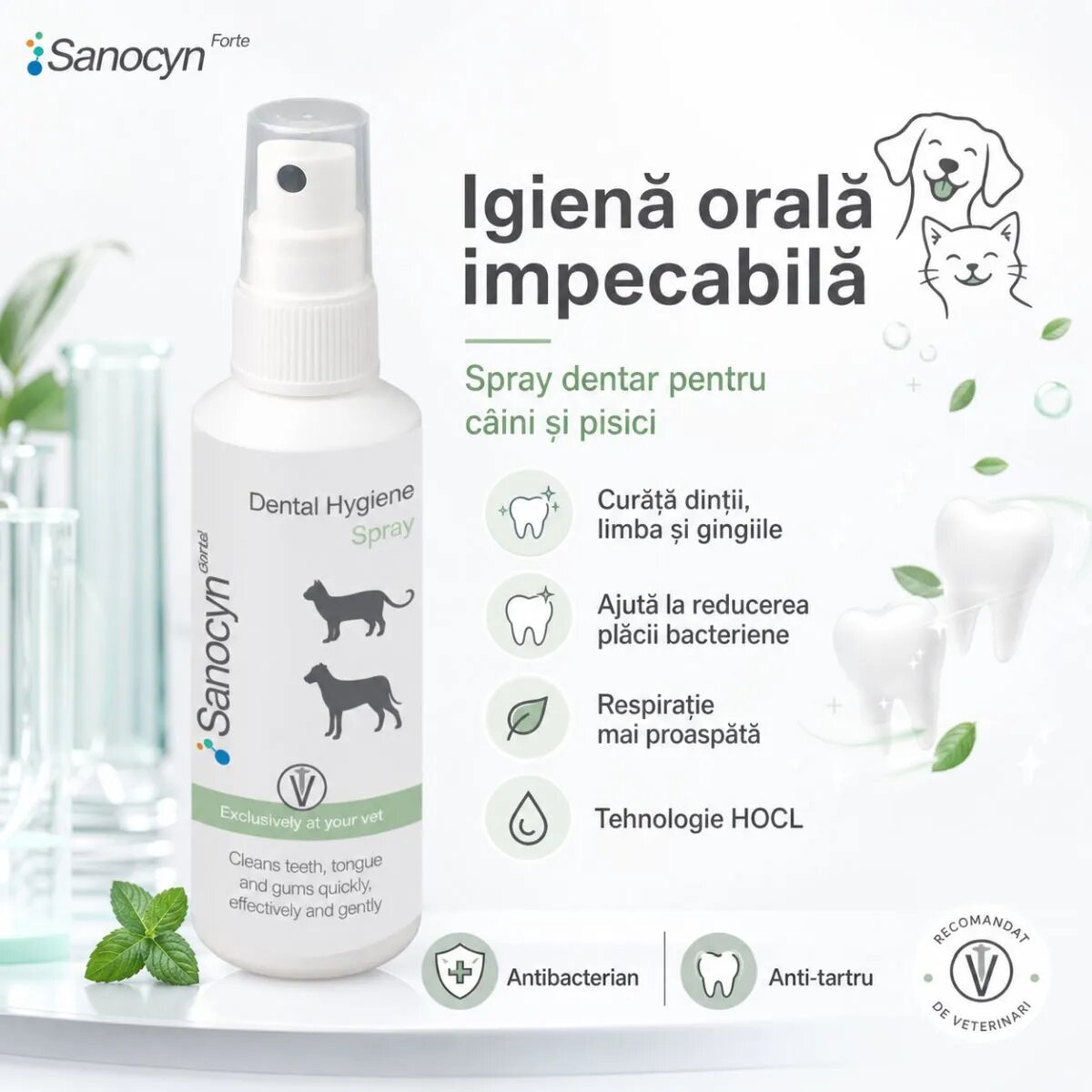 SANOCYN Forte Dental Hygiene apă de gură spray câini și pisici antibacteriană anti-tartru flacon 75ml