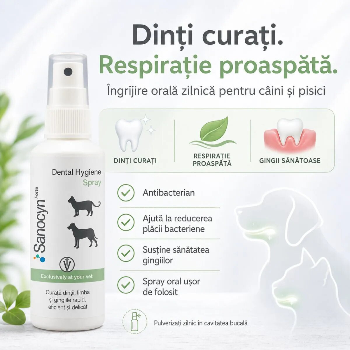 SANOCYN Forte Dental Hygiene apă de gură spray câini și pisici antibacteriană anti-tartru flacon 75ml