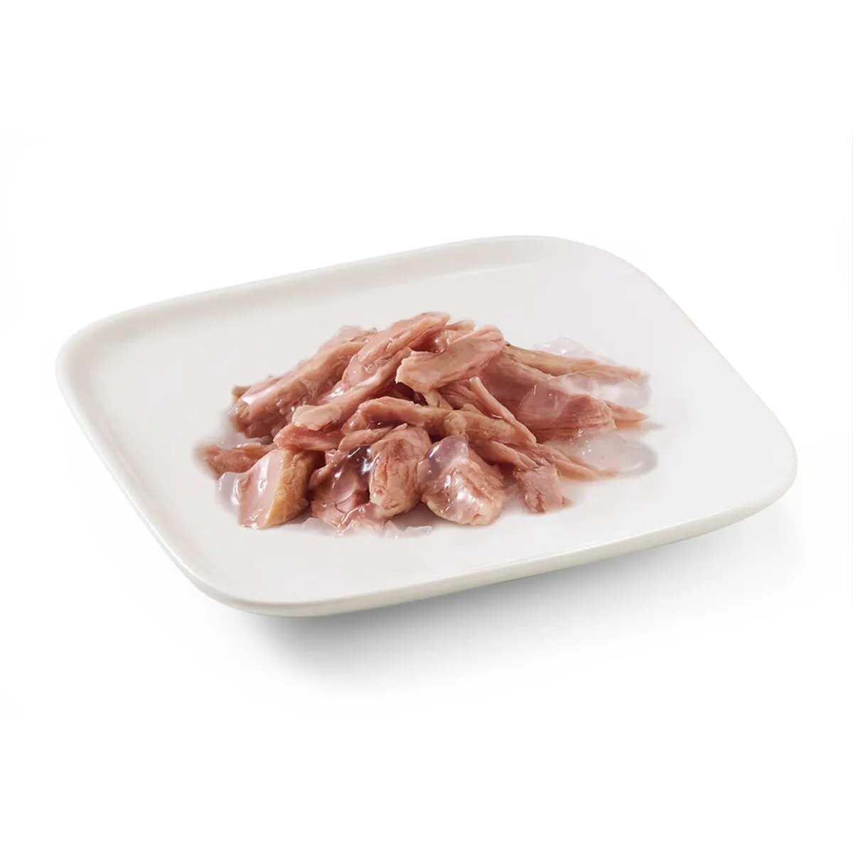 Schesir Complementary In Jelly XS-XL Ton conservă hrană umedă câini (în aspic) 150g