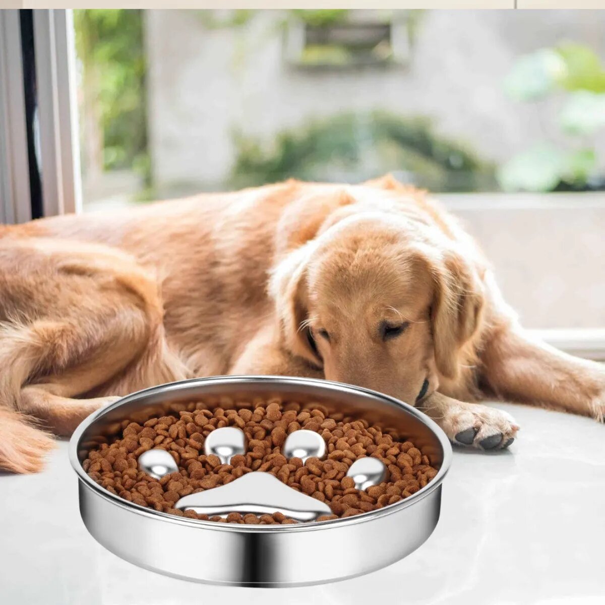 SHAW castron câini rotund hrănire lentă antiderapant inox castron câini și pisici rotund hrănirelentă antiderapant inox argintiu 1buc