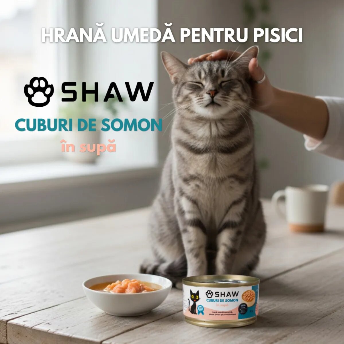 SHAW Cuburi Somon conservă hrană umedă fără cereale pisici apetit capricios (în supă) 80g