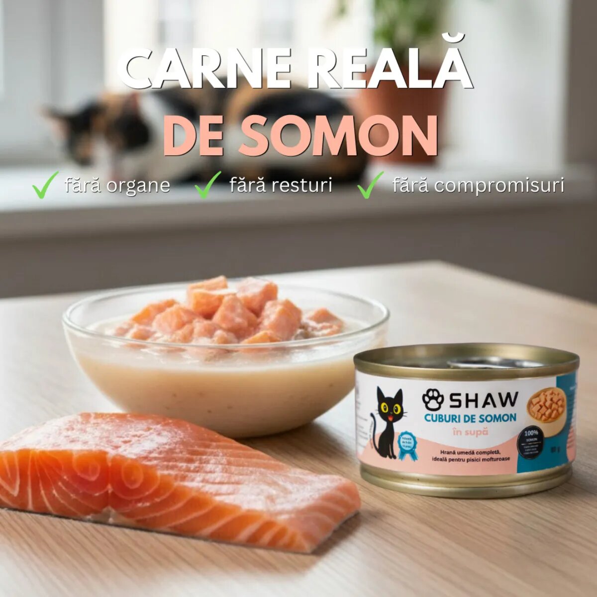SHAW Cuburi Somon conservă hrană umedă fără cereale pisici apetit capricios (în supă) 80g