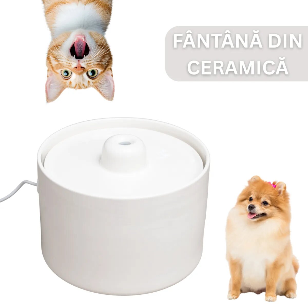 SHAW Fântână Ceramică fântână pisici rotundă sistem filtrare ceramică bej 2l