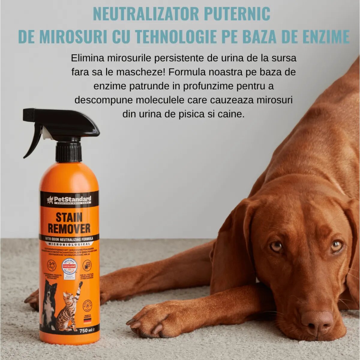 SHAW PetStandard solutie profesionala enzimatica pentru eliminarea petelor cu neutralizare mirosuri câini și pisici 750ml