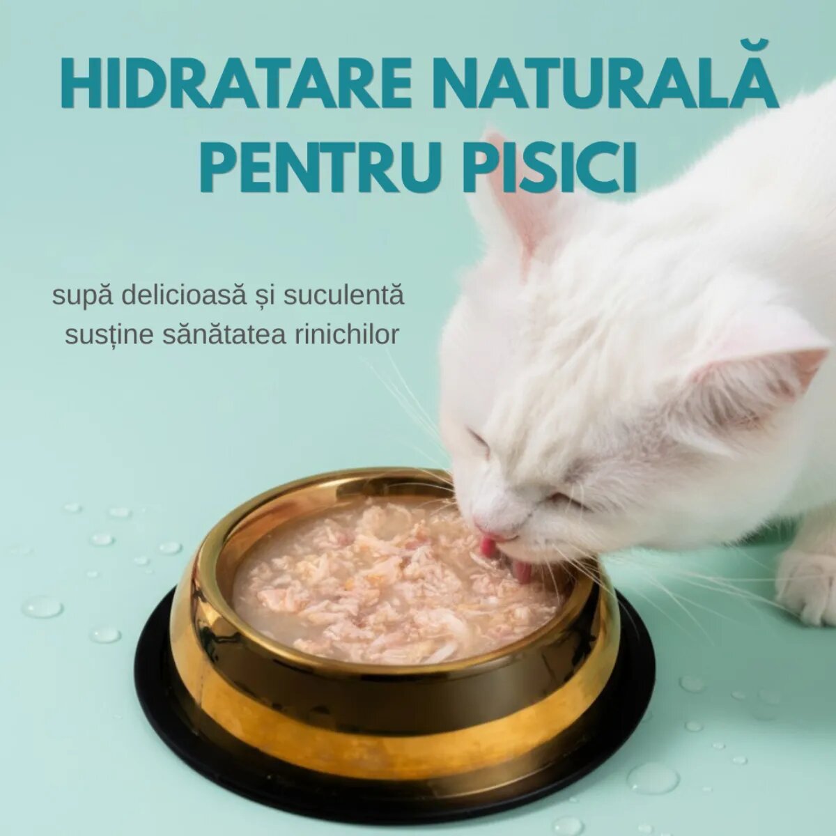 SHAW Piept Pui conservă hrană umedă fără cereale pisici apetit capricios (în supă) bax 80g x 12buc