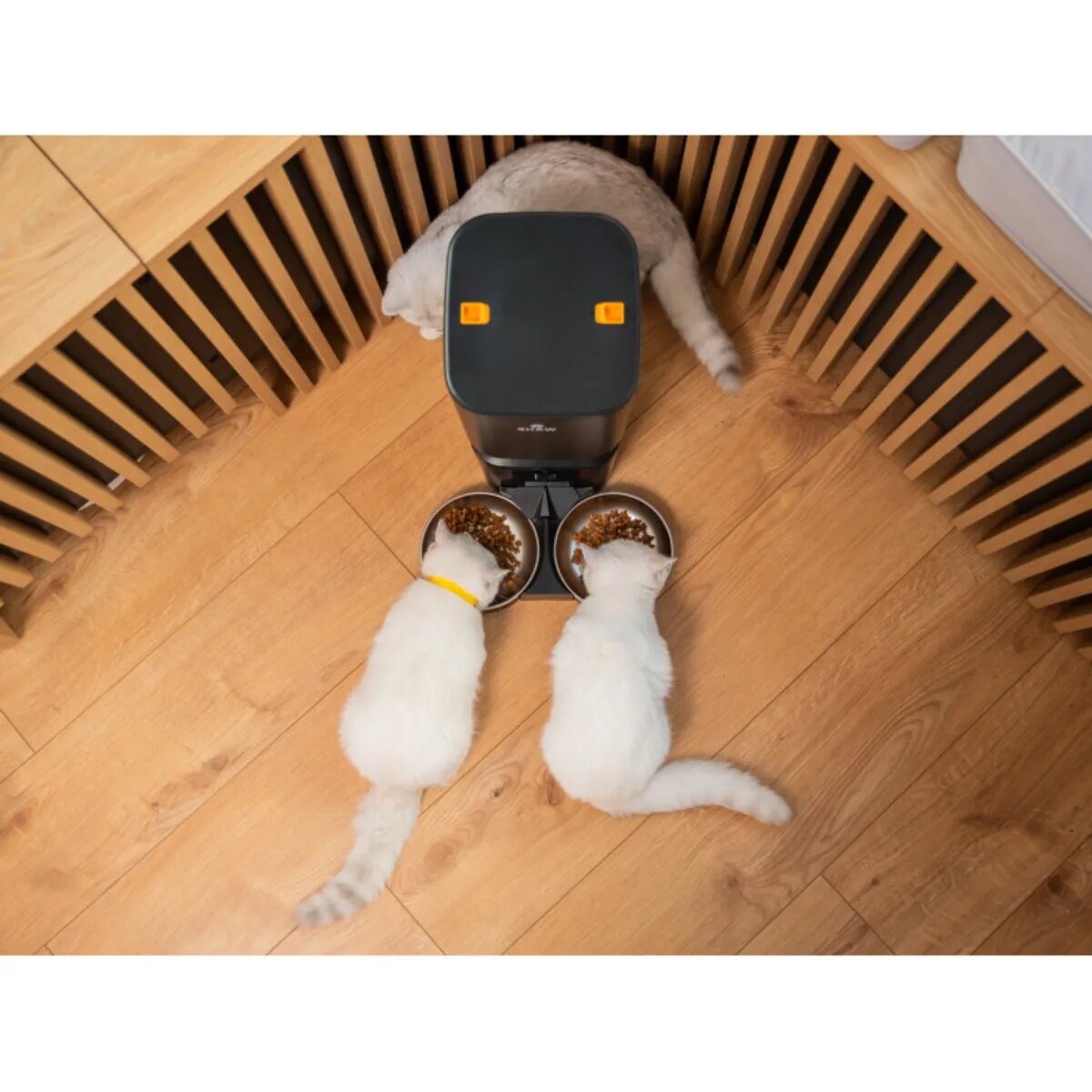 SHAW Smart hrănitor automat câini 2 boluri rotunde programabil aplicație mobilă PVC Smart hrănitor automat câini și pisici 2 boluri rotunde programabil aplicație mobilă PVC negru XS-S(7l)