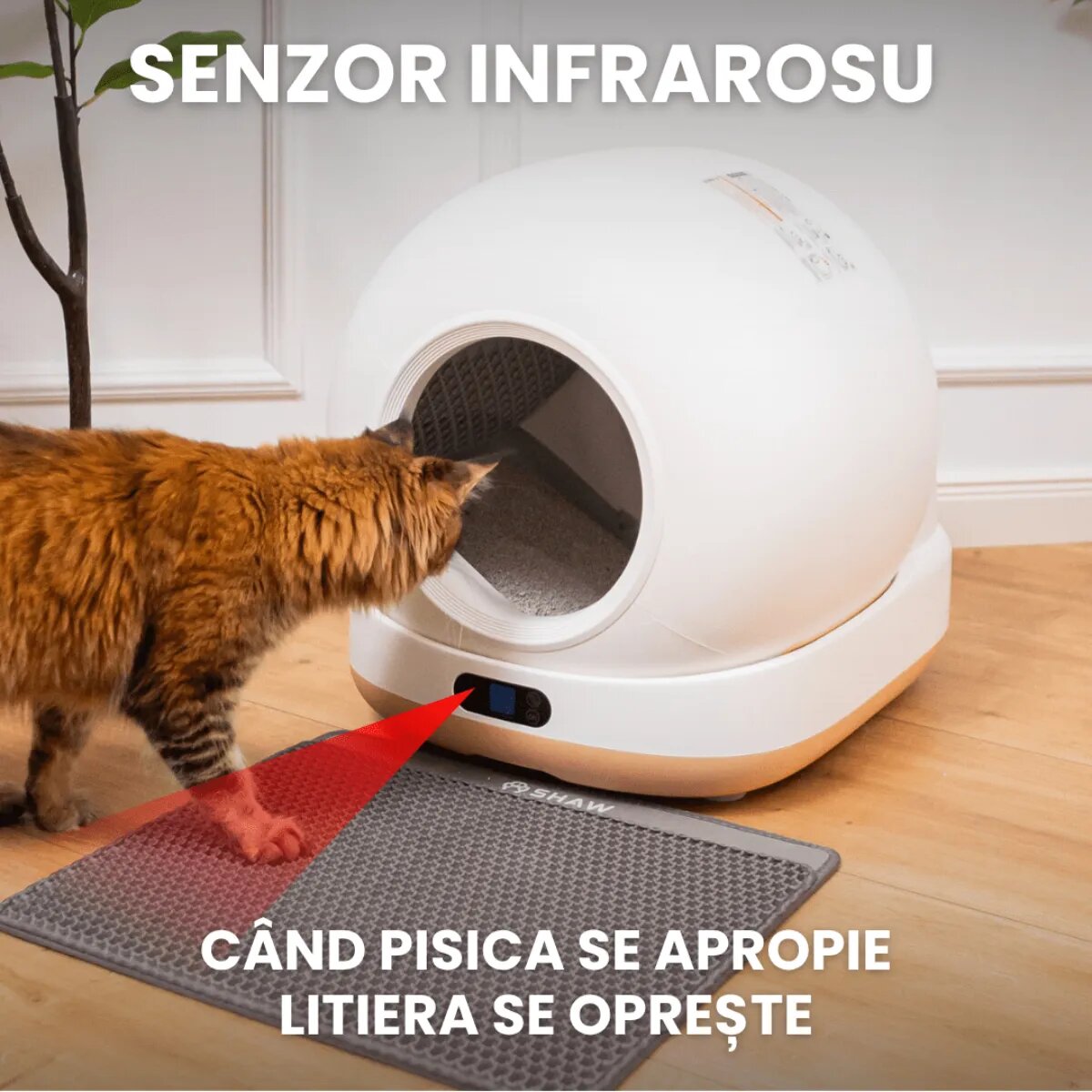 SHAW Ultra litieră automată pisici auto-curățare sterilizare UV aplicație mobilă negru 58.19x51.34x53 cm