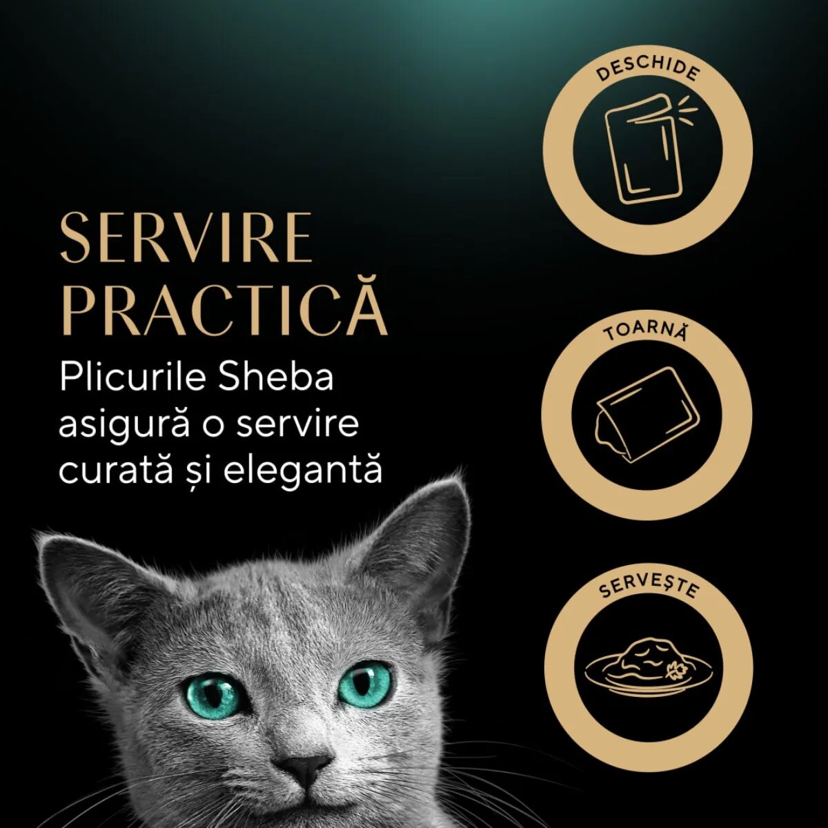 SHEBA Fresh & Fine Selectie mixt cu Pui Somon și Curcan plic hrană umedă pisici (în sos) multipack 50g x 6buc