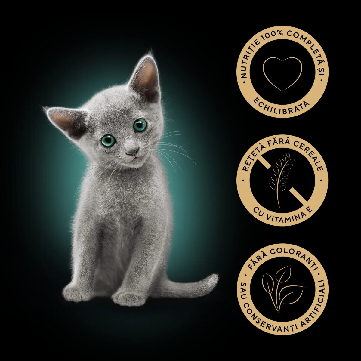 SHEBA Kitten Pui plic hrană umedă pisici junior (în sos) bax 85g x 28buc