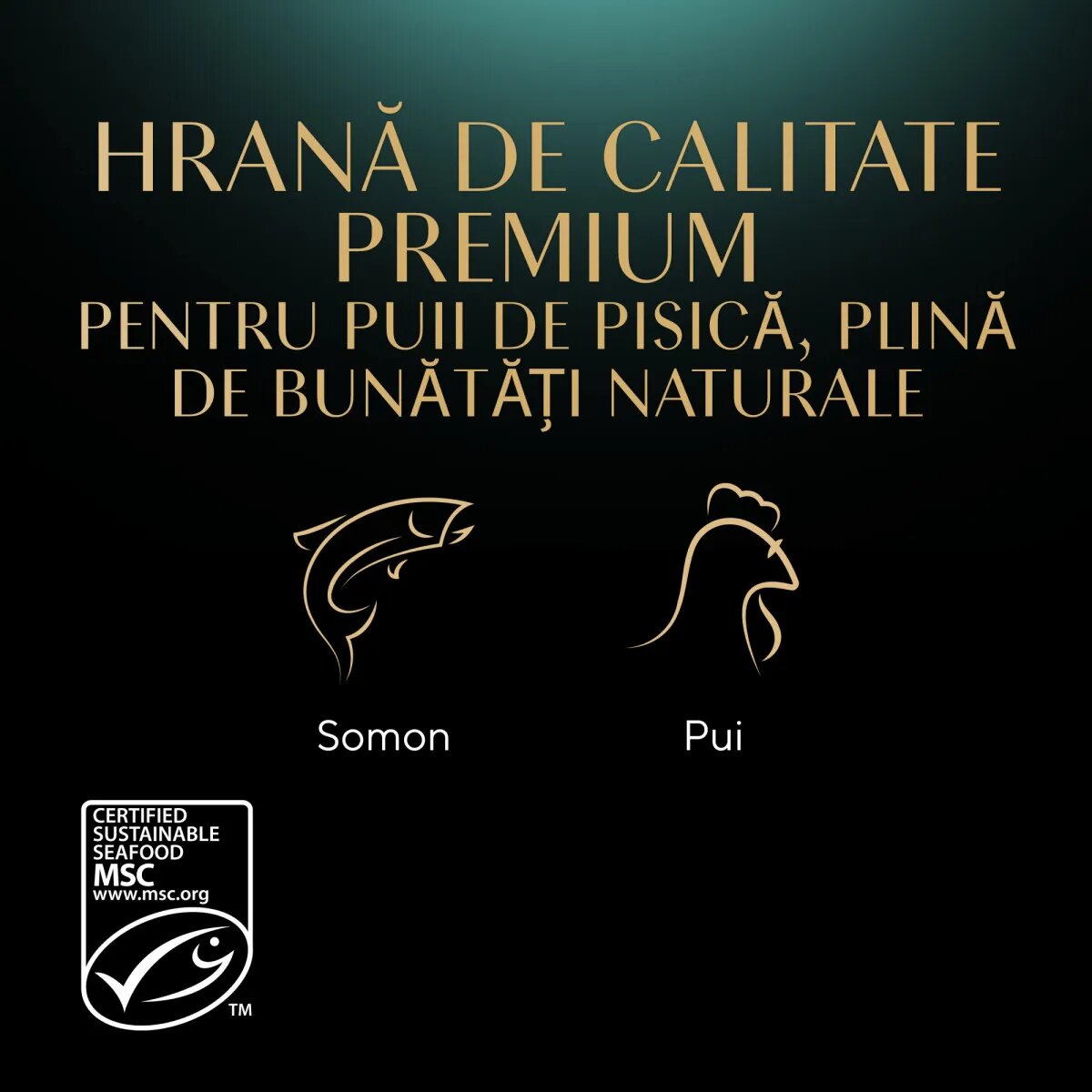 SHEBA Kitten Selectie Mixta Somon și Pui plic hrană umedă pisici junior (în sos) multipack 85g