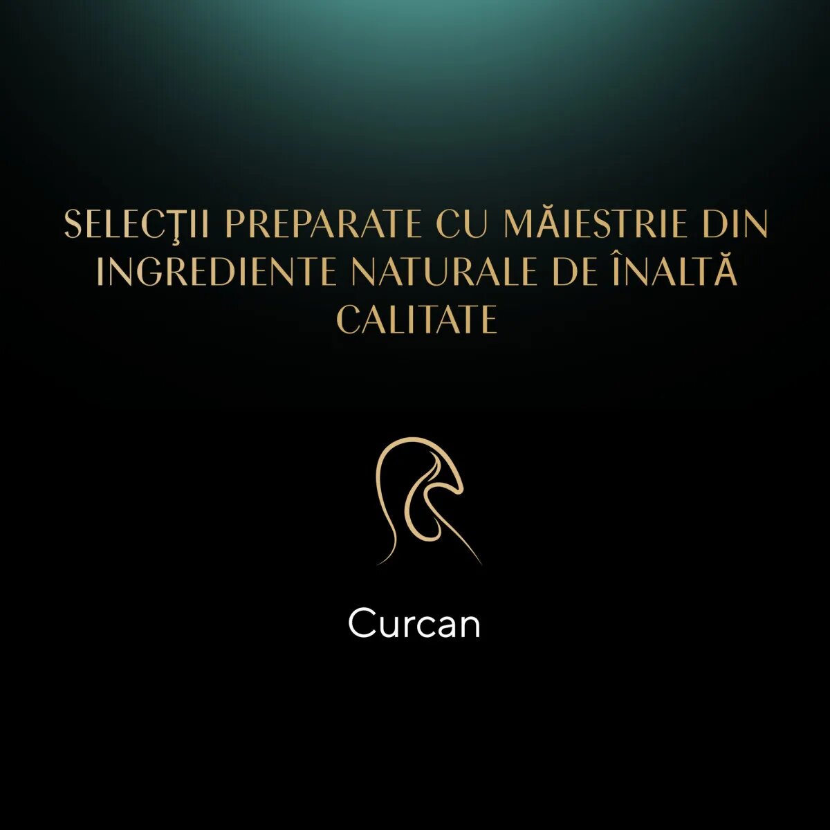 SHEBA Nature's Collection Curcan și Legume plic hrană umedă fără cereale pisici (în aspic) 85g