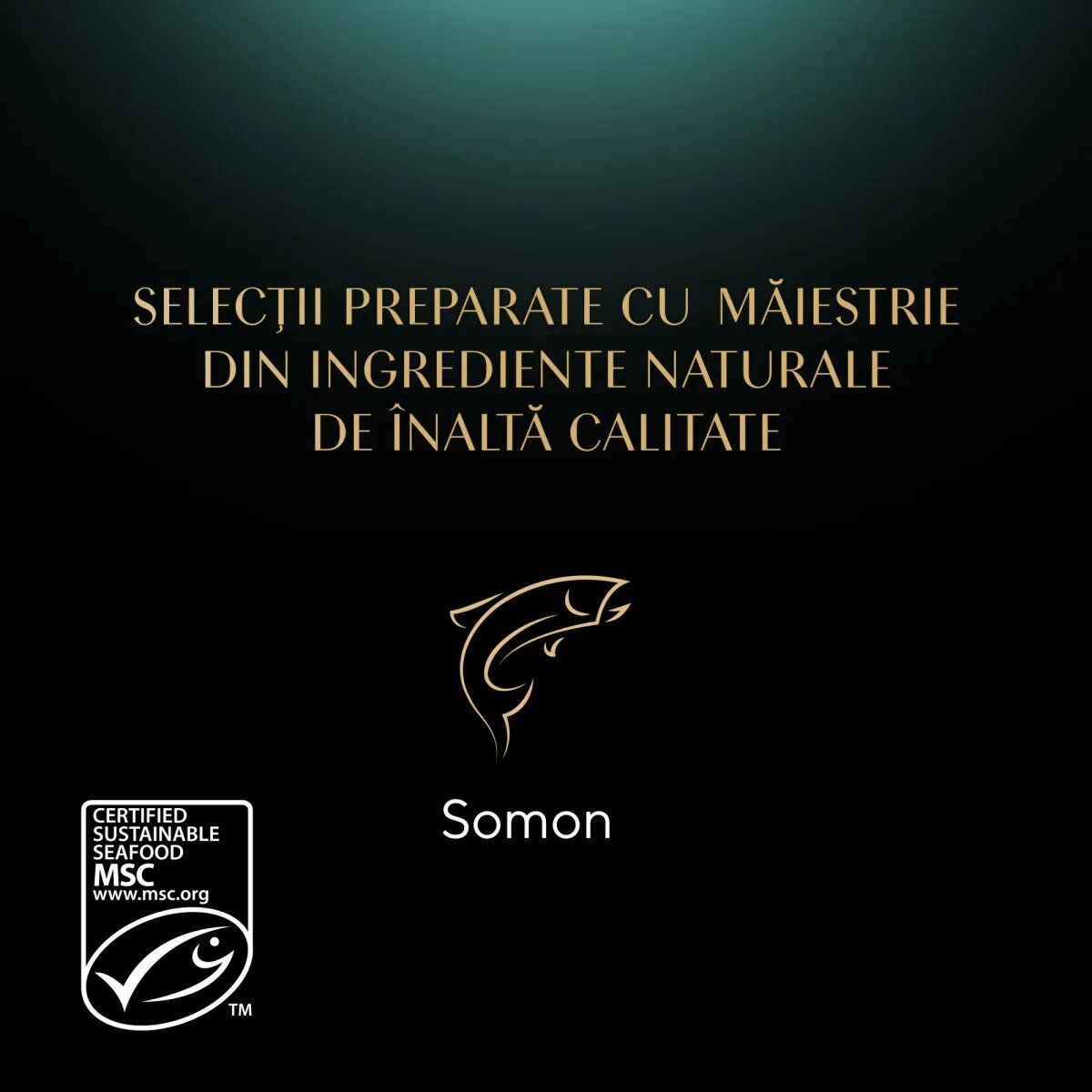 SHEBA Nature's Collection Somon plic hrană umedă fără cereale pisici (în sos) bax 85g x 28buc