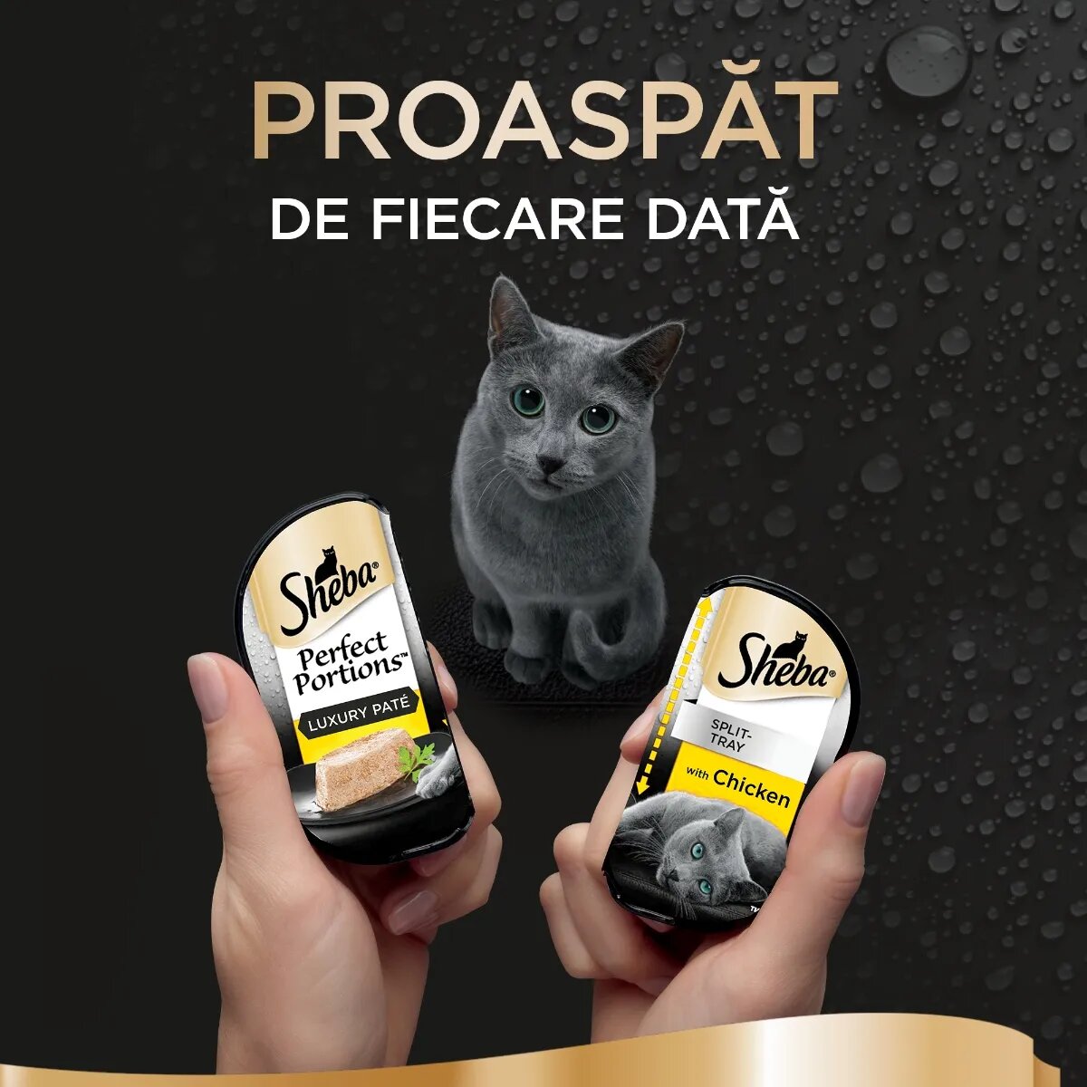 SHEBA Perfect Portions Pui tăviță hrană umedă pisici (pate) multipack 37.5g x 6buc
