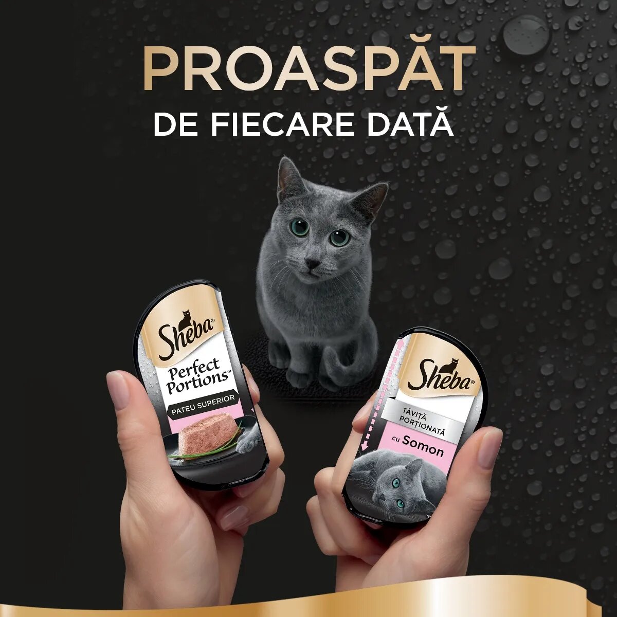 SHEBA Perfect Portions Somon tăviță hrană umedă pisici (pate) multipack 37.5g x 6buc