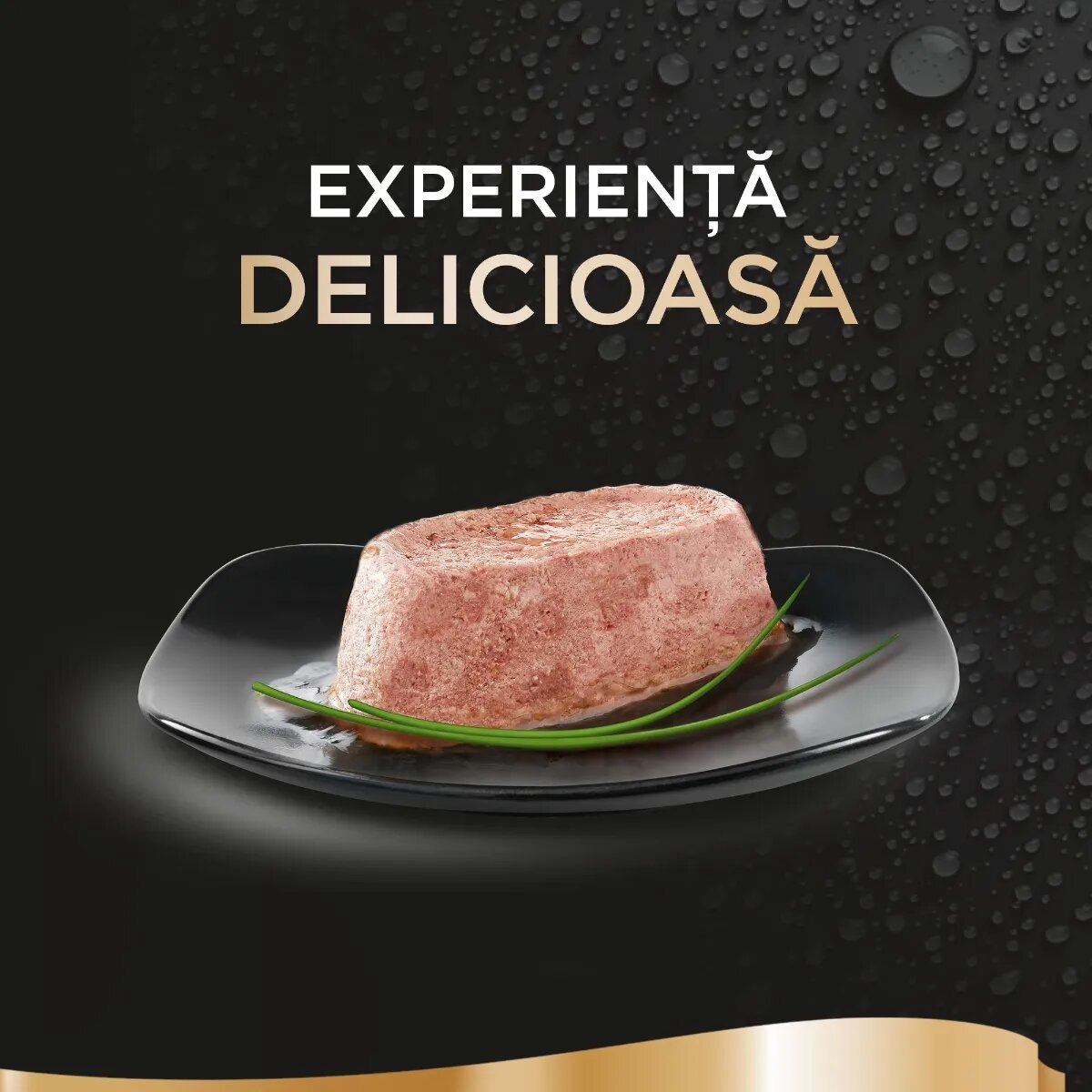 SHEBA Perfect Portions Somon tăviță hrană umedă pisici (pate) multipack 37.5g x 6buc