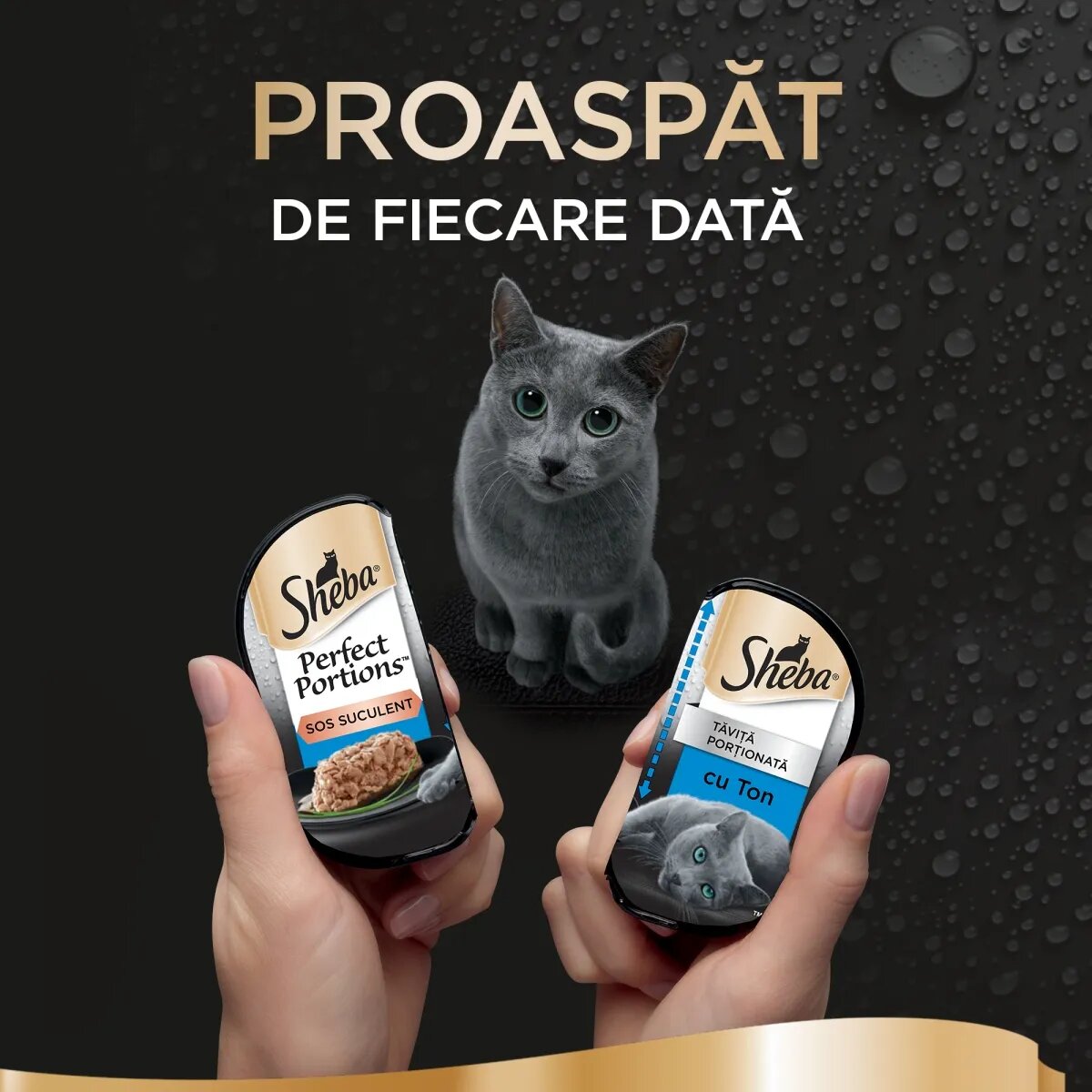 SHEBA Perfect Portions Ton tăviță hrană umedă pisici (în sos) multipack 37.5g x 6buc