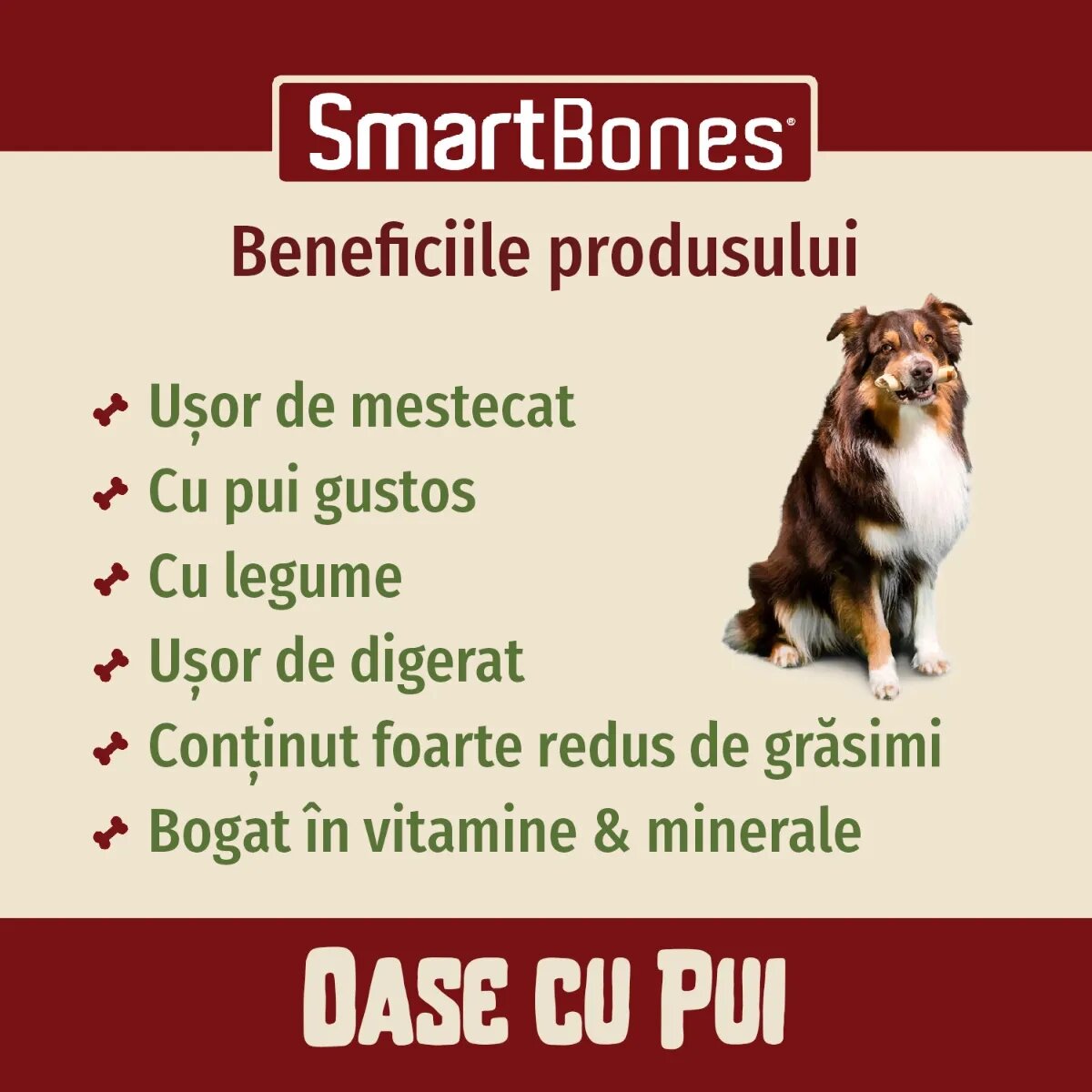 SmartBones Classics Chicken Bones Mini recompense câini Oase aromate Pui 8buc