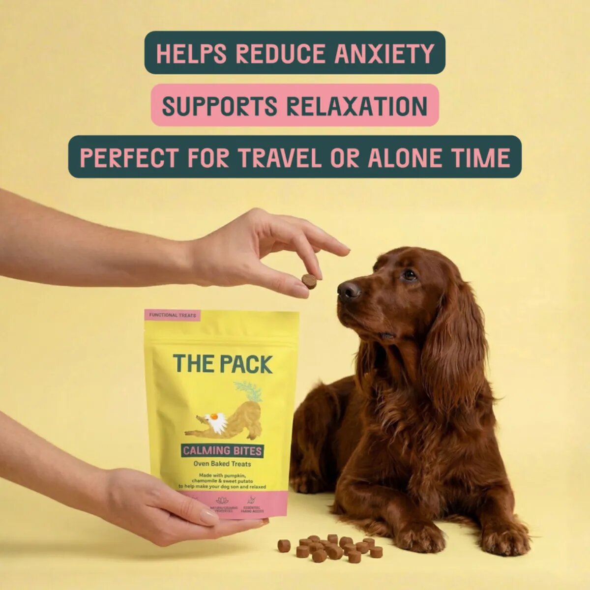 THE PACK Calming Bites XS-XL Fructe punguță recompense funcționale câini sistem nervos & calmante 100g